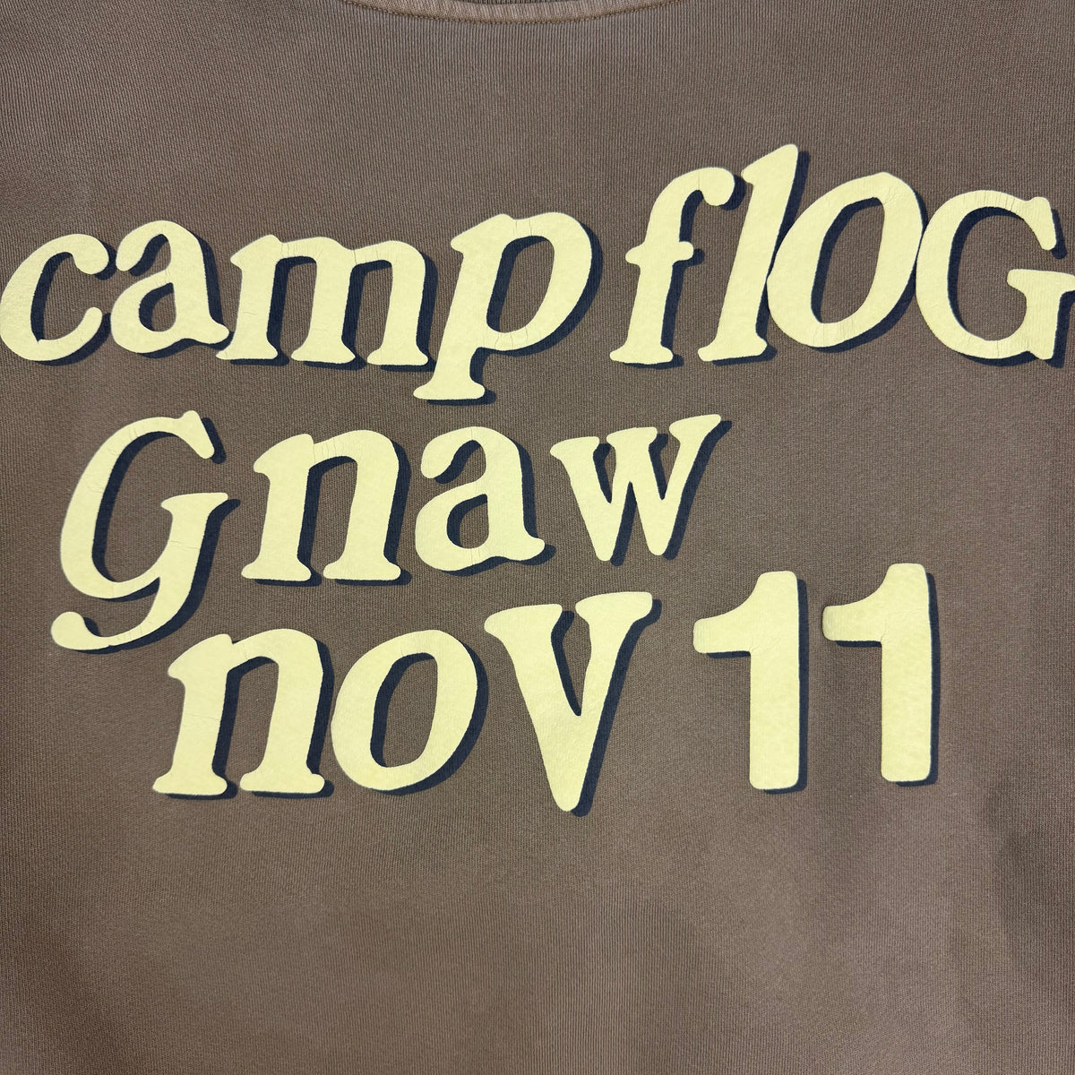 Cactus Plant Flea Market Camp Flog Gnaw Crewneck Brown