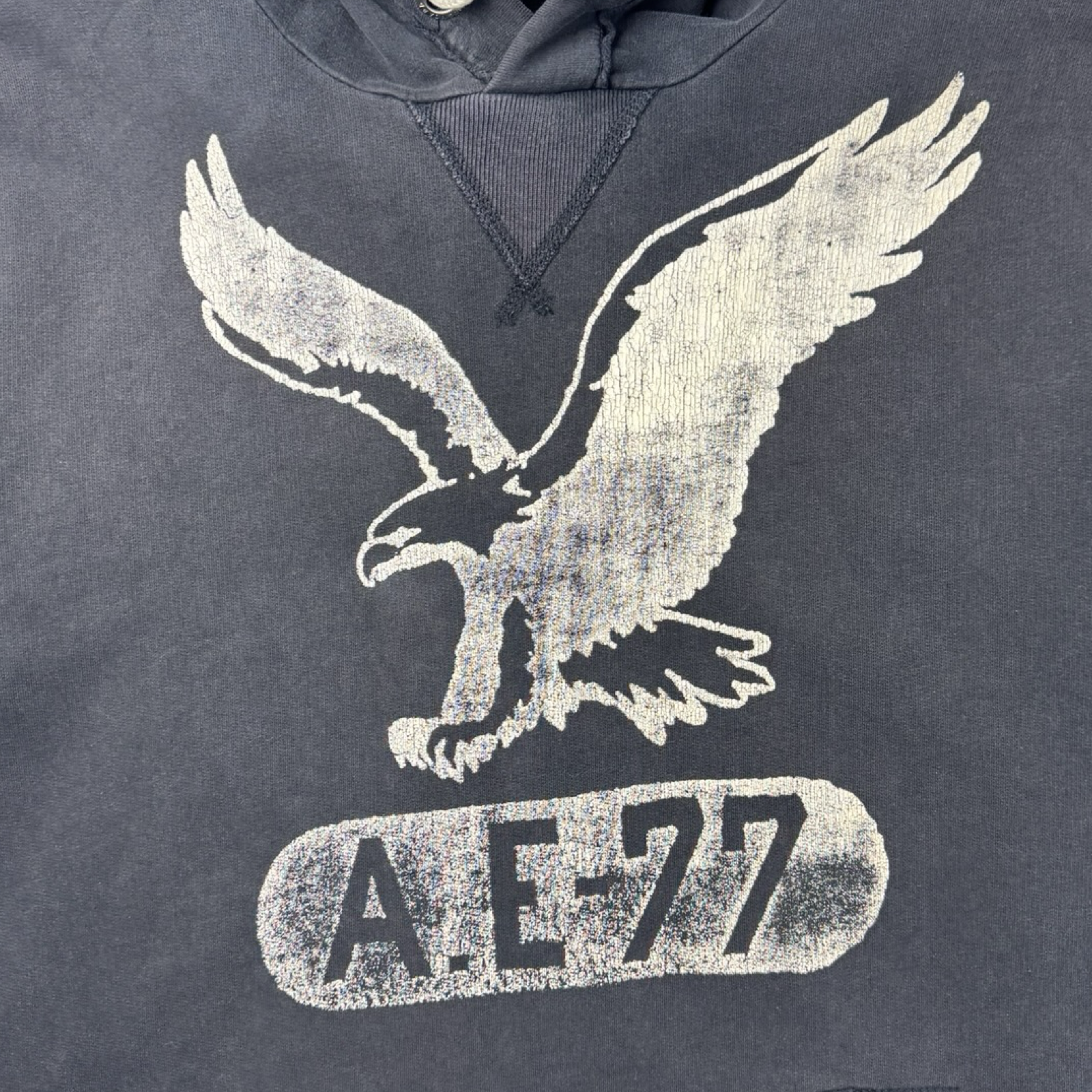 Y2K A_E-77 American Eagle Pullover Hoodie