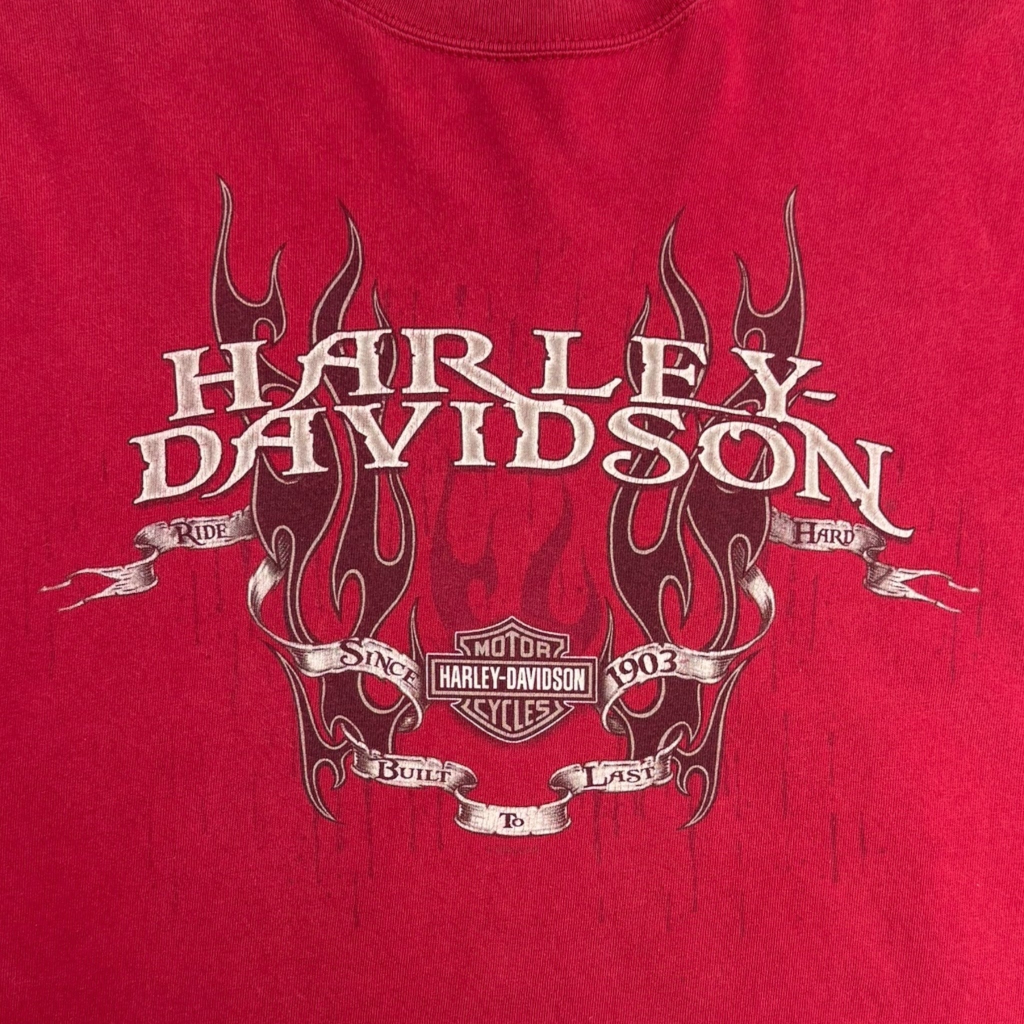 Vintage Harley Davidson Flame Longsleeve T-Shirt