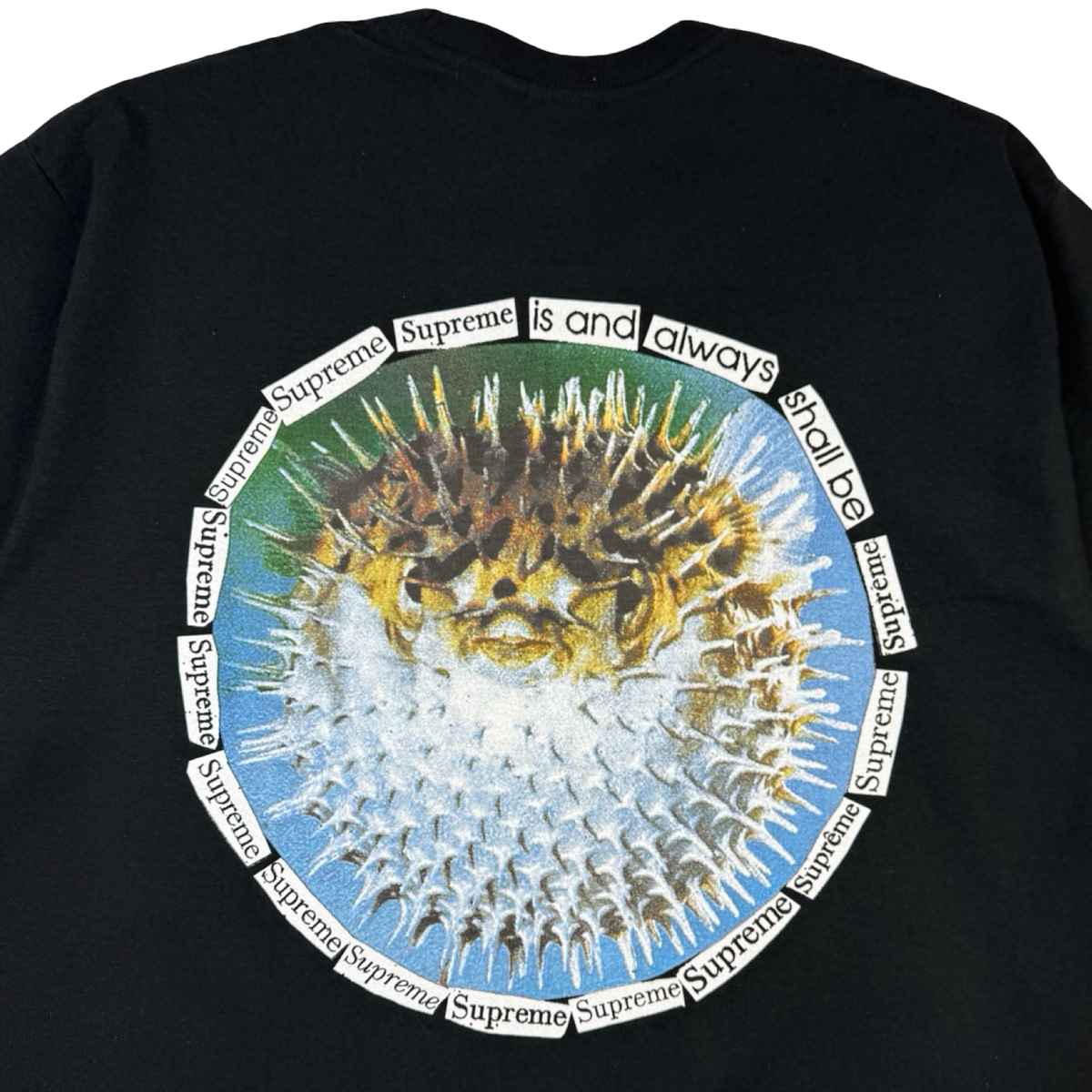 Supreme Blowfish Tee Black