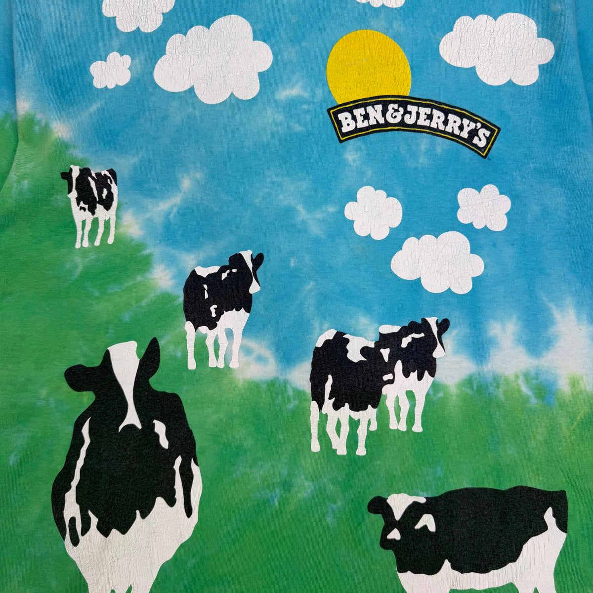 Vintage Ben & Jerry’s Euphoria All Over Print Tee Blue/Green