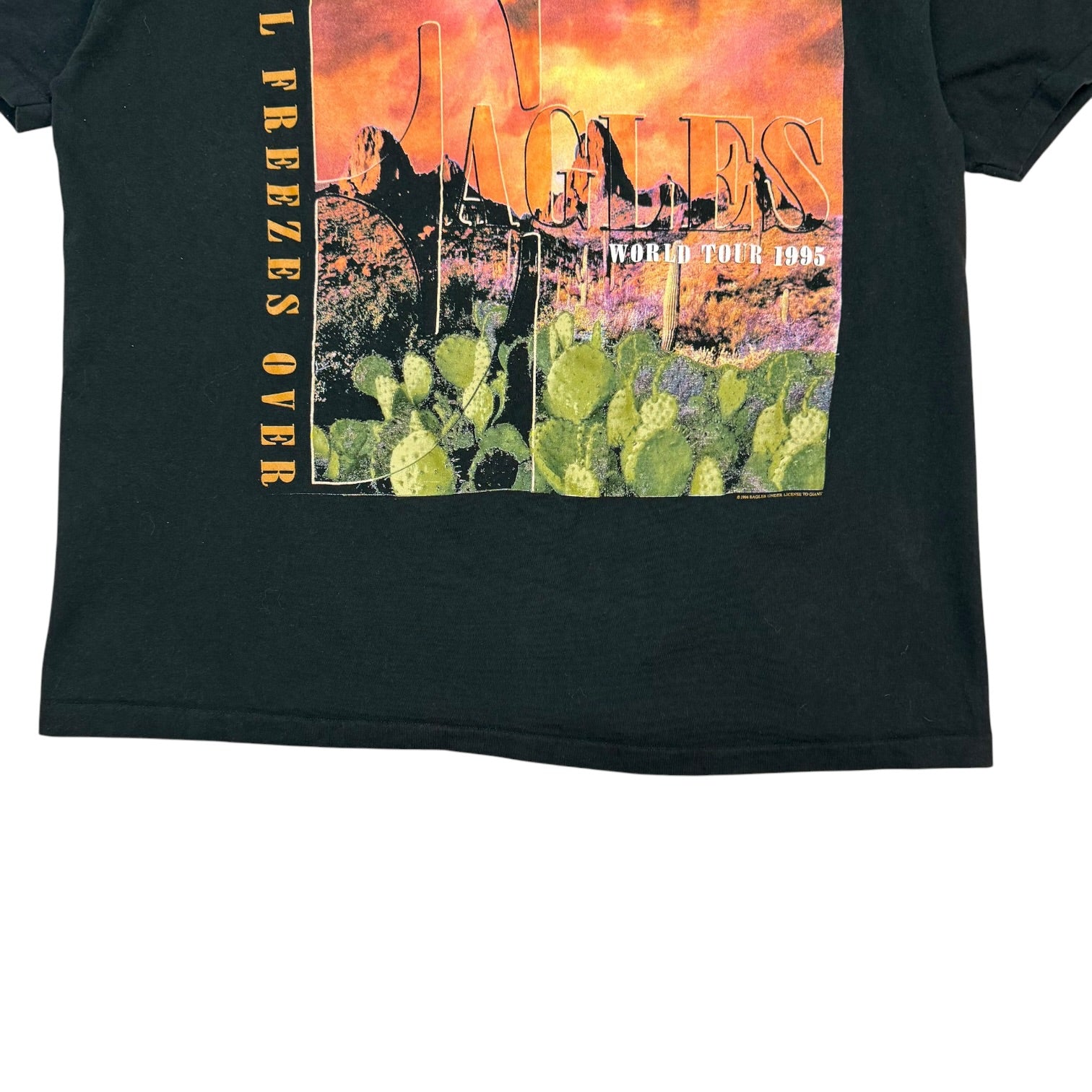 1995 Eagles Hell Freezes Over Tour Tee Black