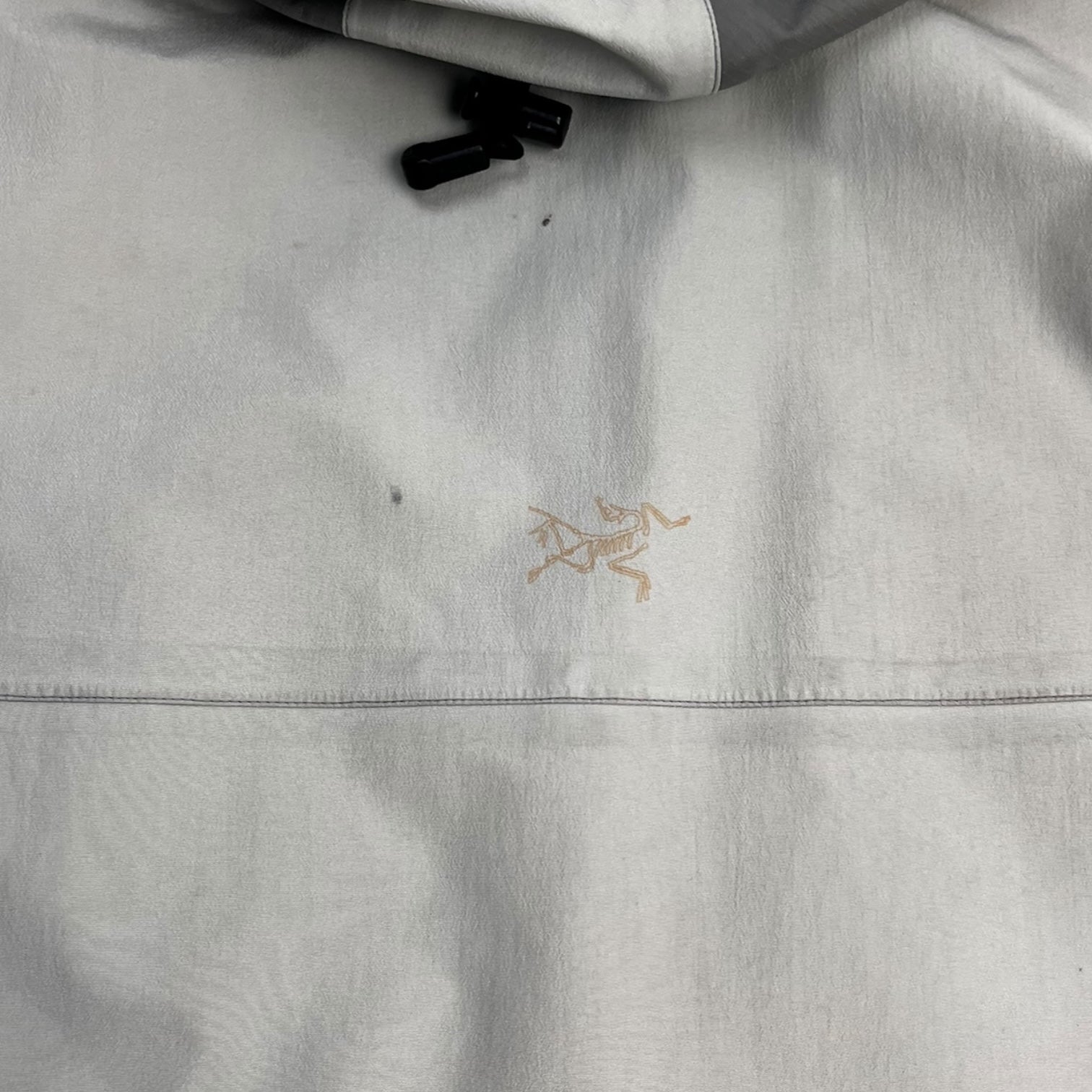 Vintage Arc'Teryx Sidewinder “Statue”