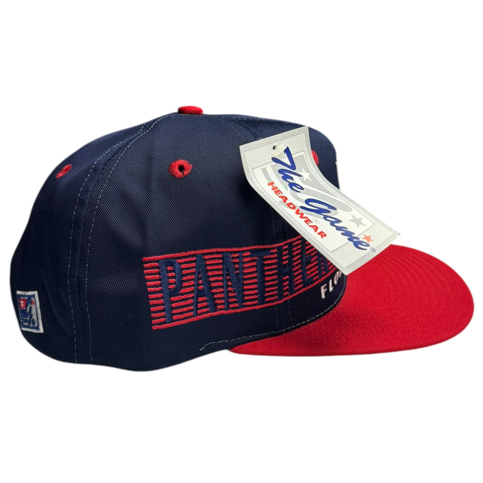 Vintage Florida Panthers The Game Snapback Hat