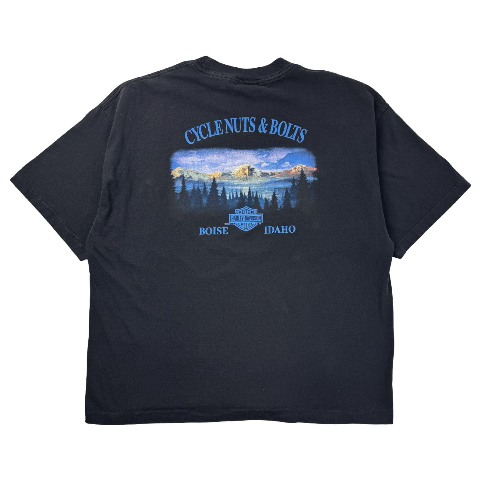 Vintage Harley Davidson Lightning T-Shirt