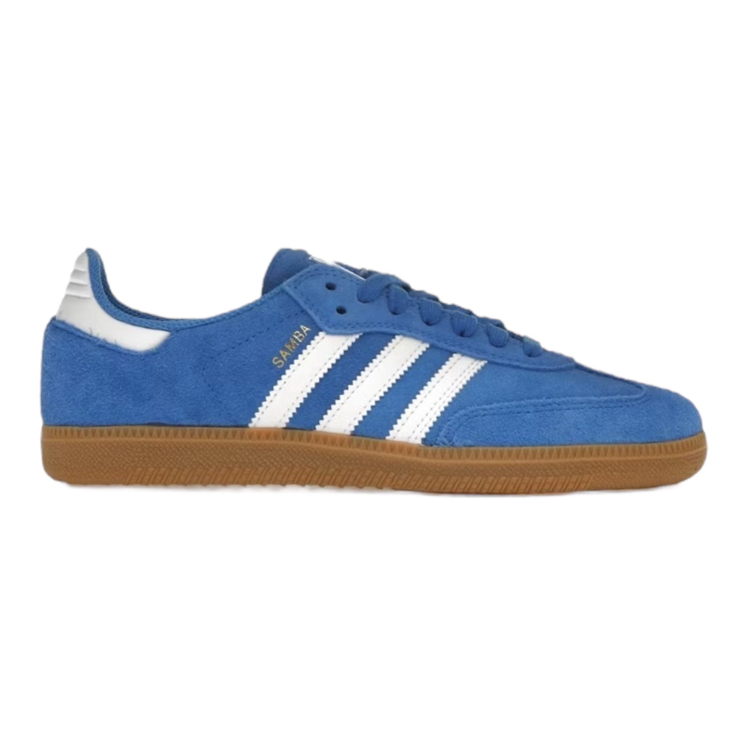 Adidas Samba ADV Blue Bird (Used)