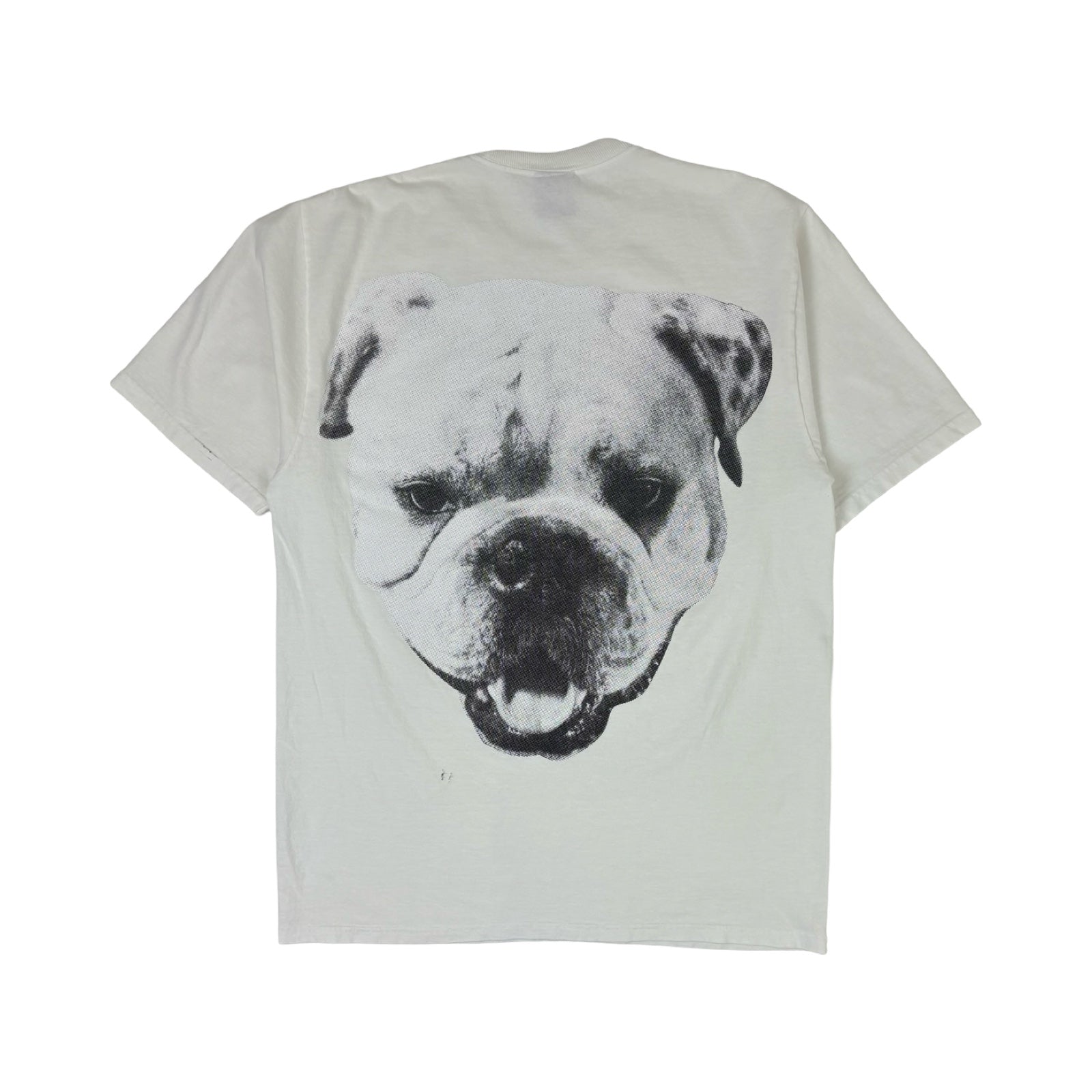Stüssy Big Dog Stone Washed Tee White