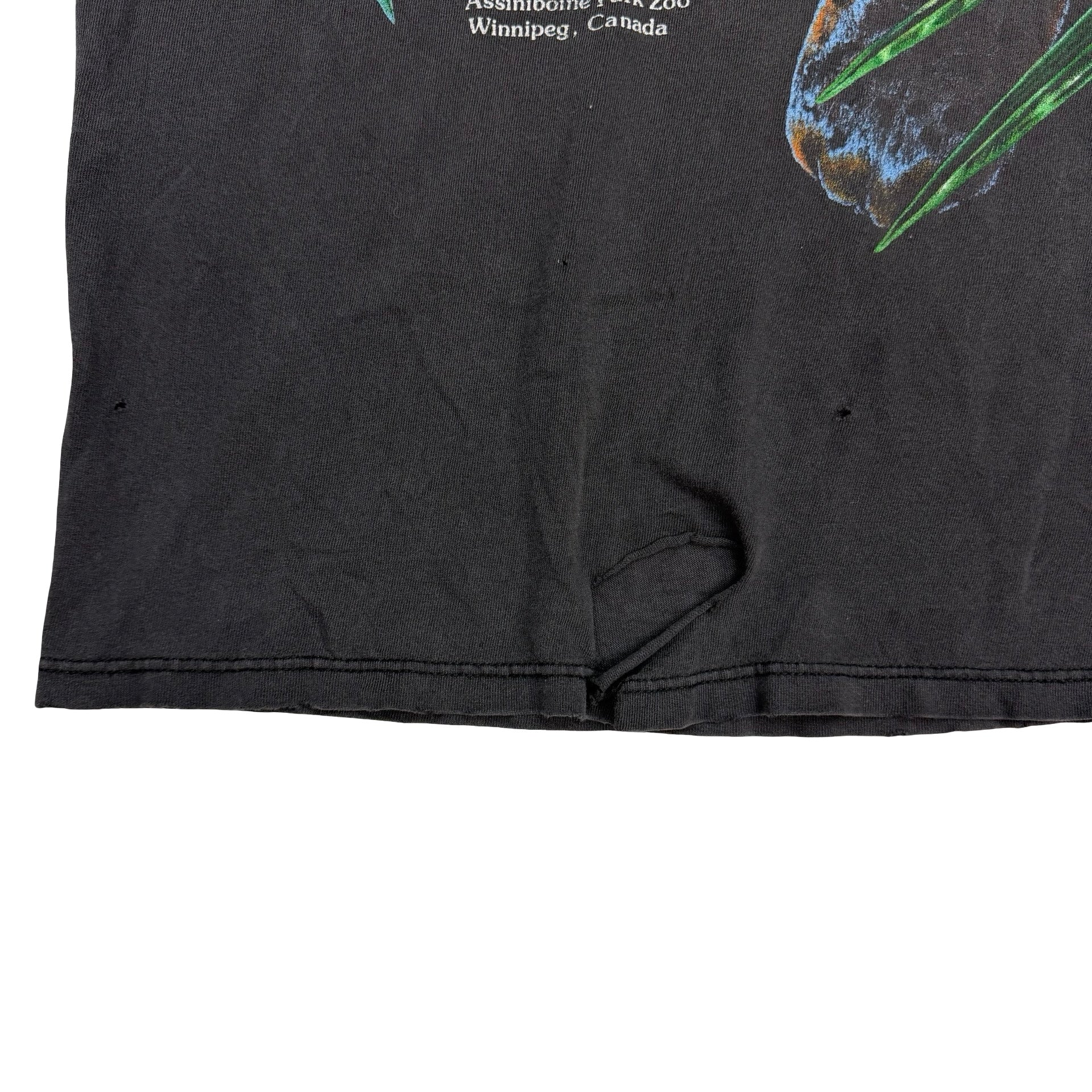 Vintage Black Panther Assiniboine Park Zoo Too Black