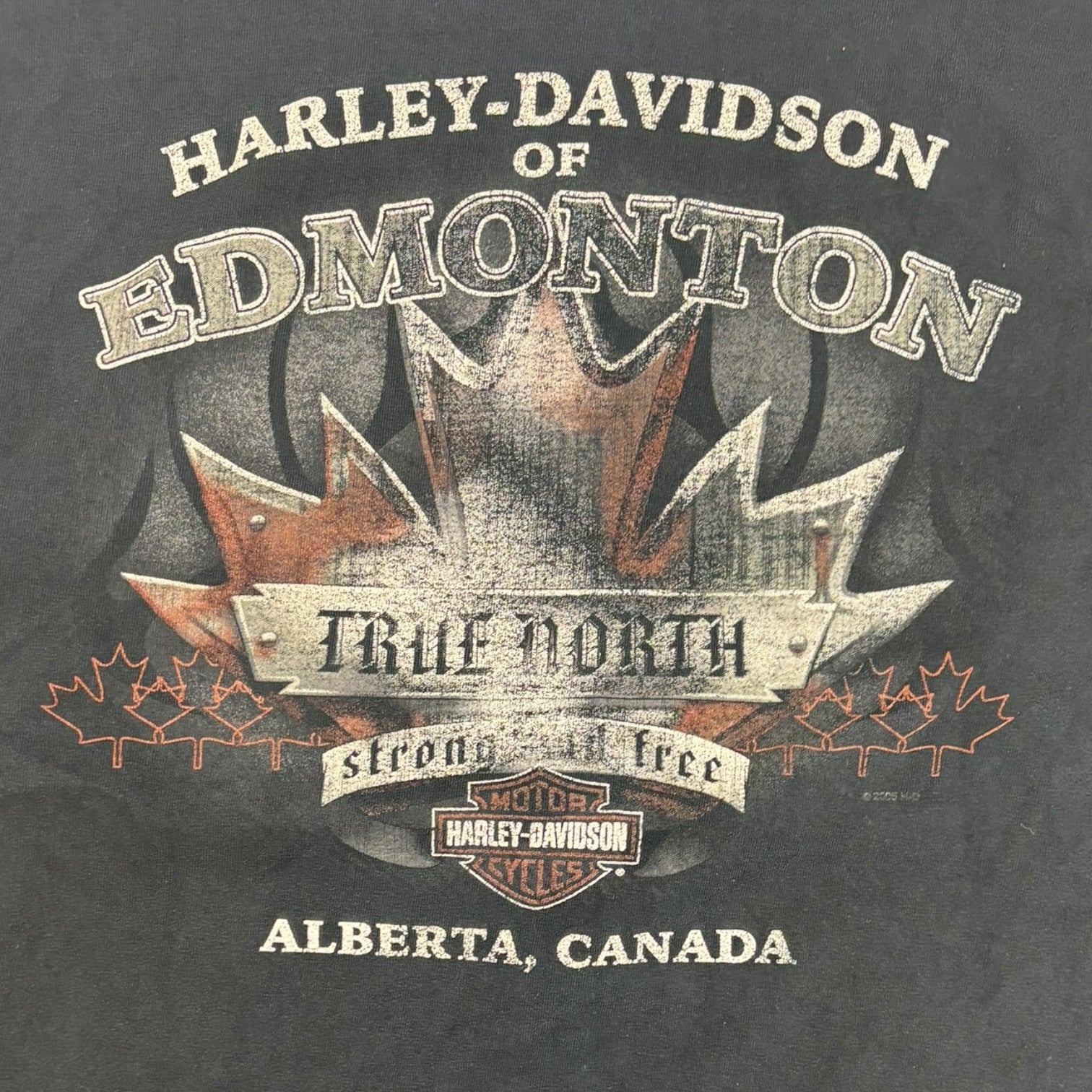 Vintage 2007 Harley Davidson Edmonton Alberta Swords L/S T-Shirt Black