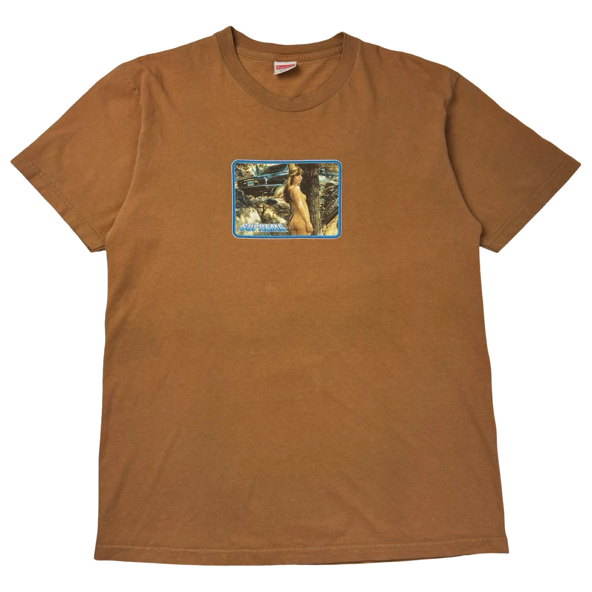 Supreme Larry Clark Girl Tee Mocha
