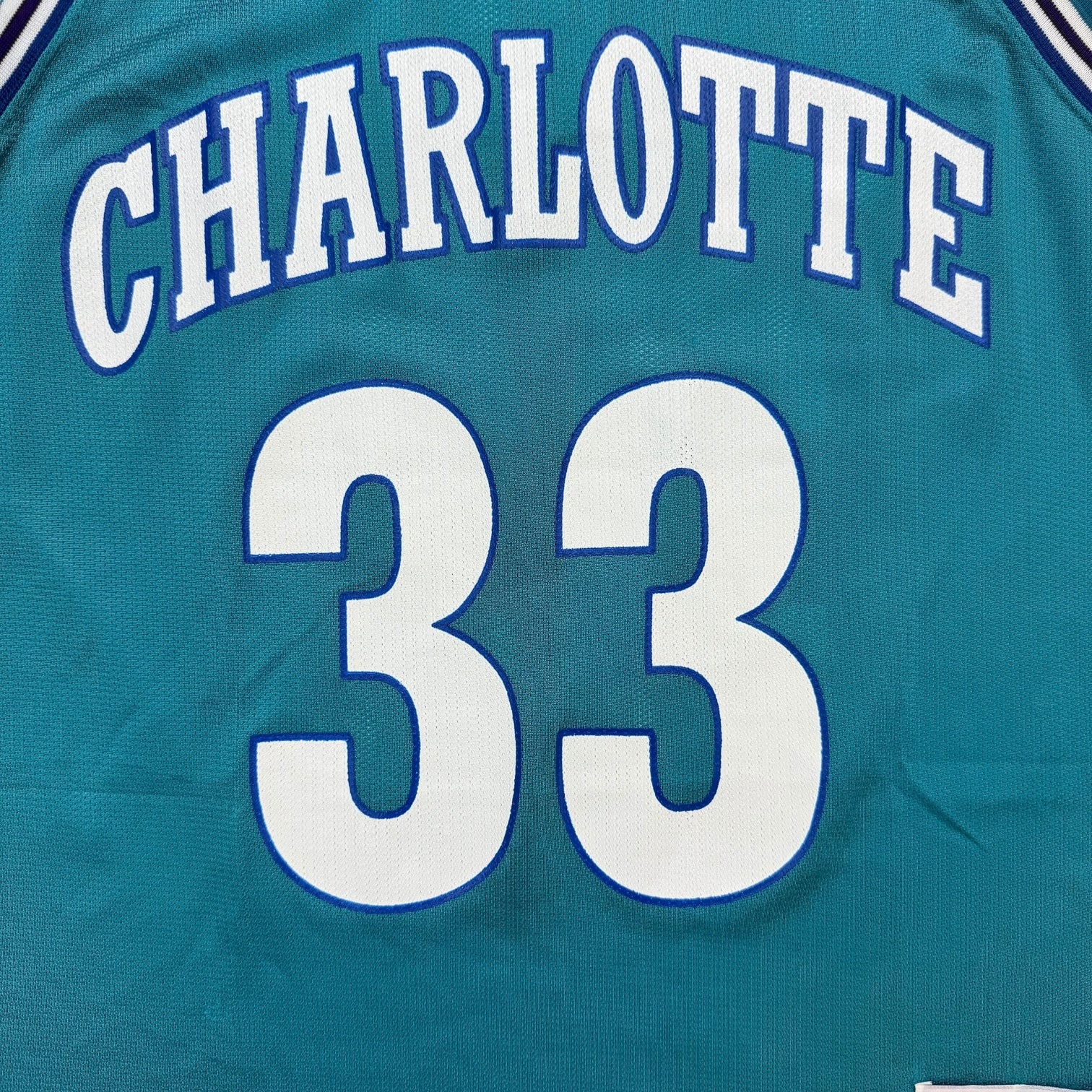 Vintage Champion Charlotte Hornets Alonzo Mourning Jersey Teal