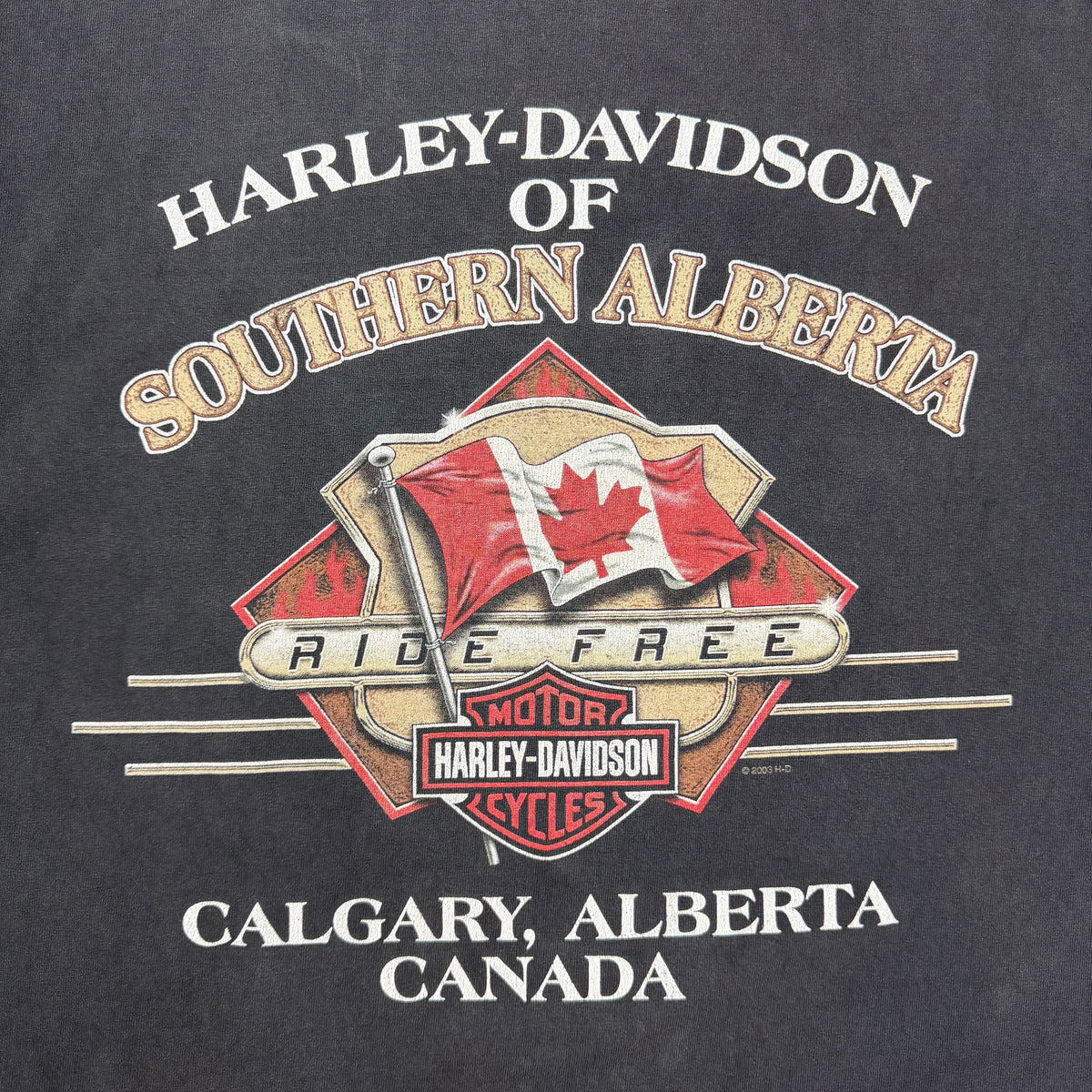 2003 Harley Davidson “Live To Ride” Eagle Flag Tee Black