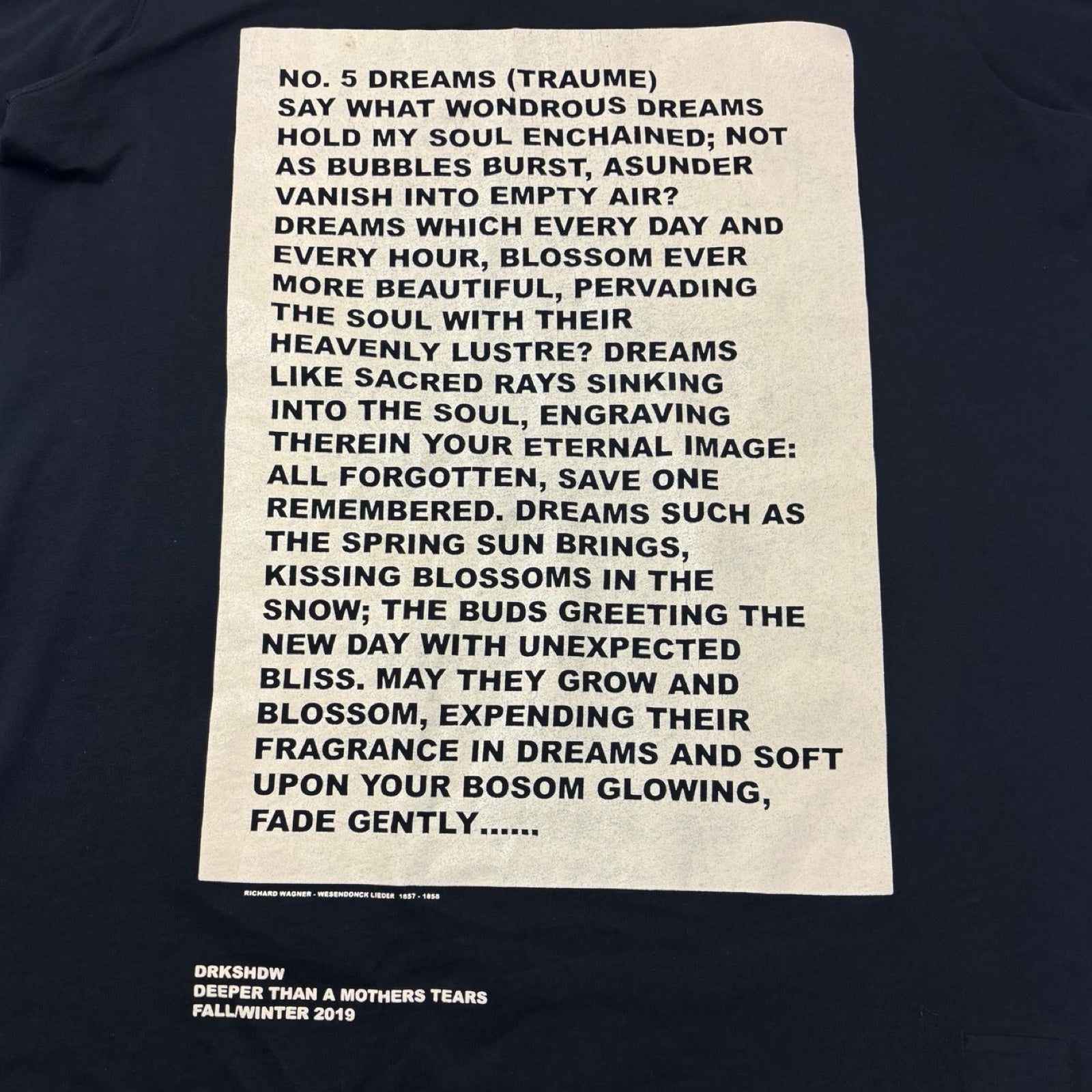 Rick Owens DRKSHDW Deeper Than a Mother's Tears T-Shirt