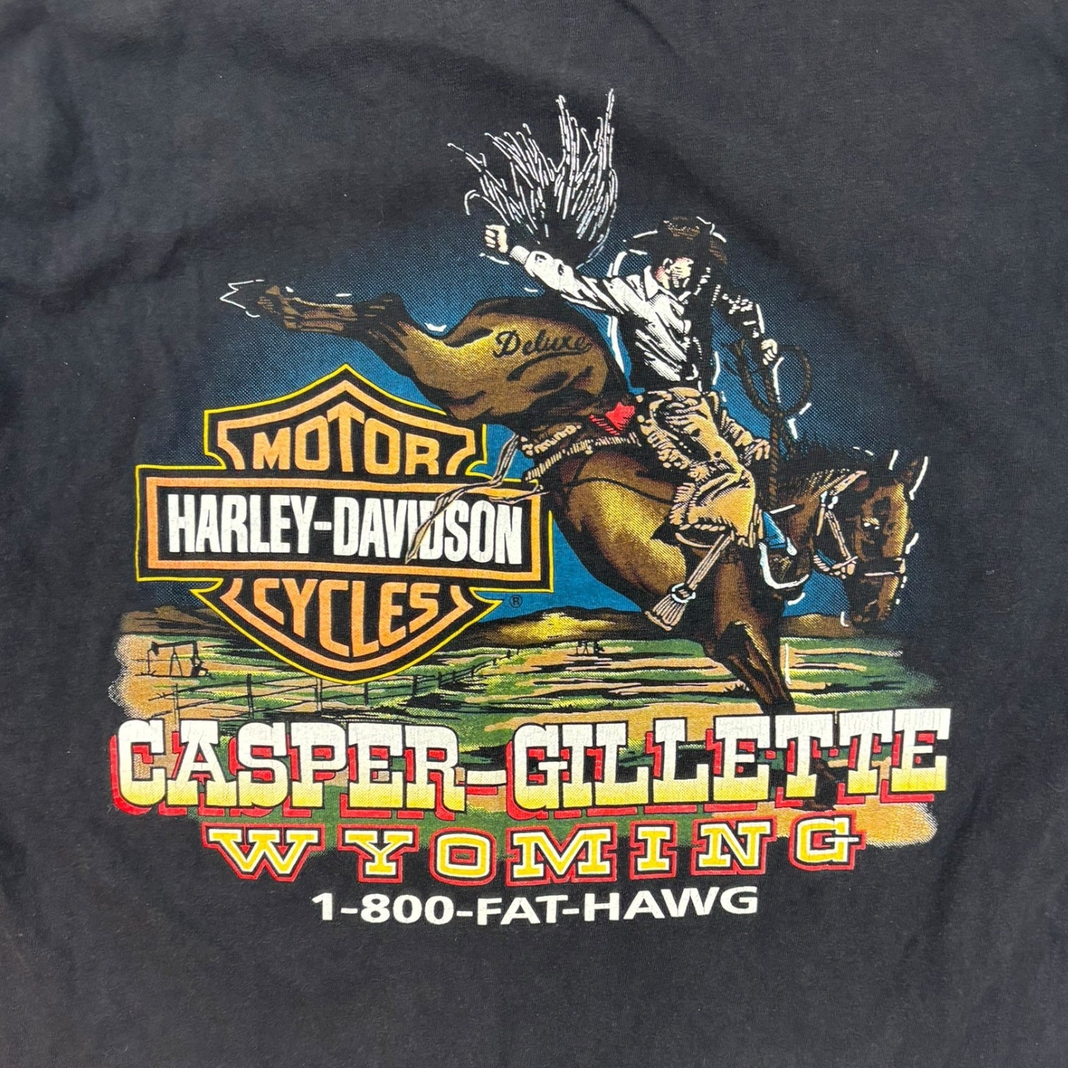 Vintage 1996 Harley Davidson Casper-Gillette Wyoming T-Shirt Black