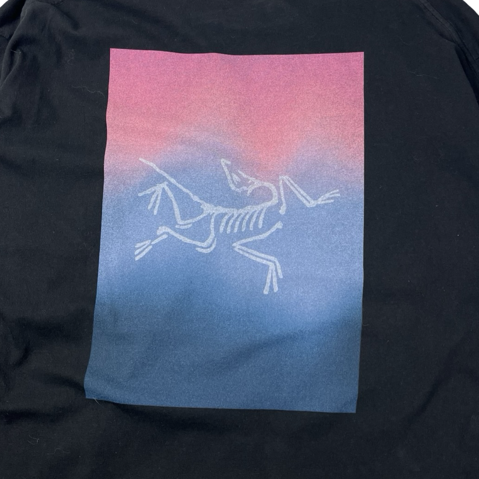 Arc’teryx Longsleeve T-Shirt