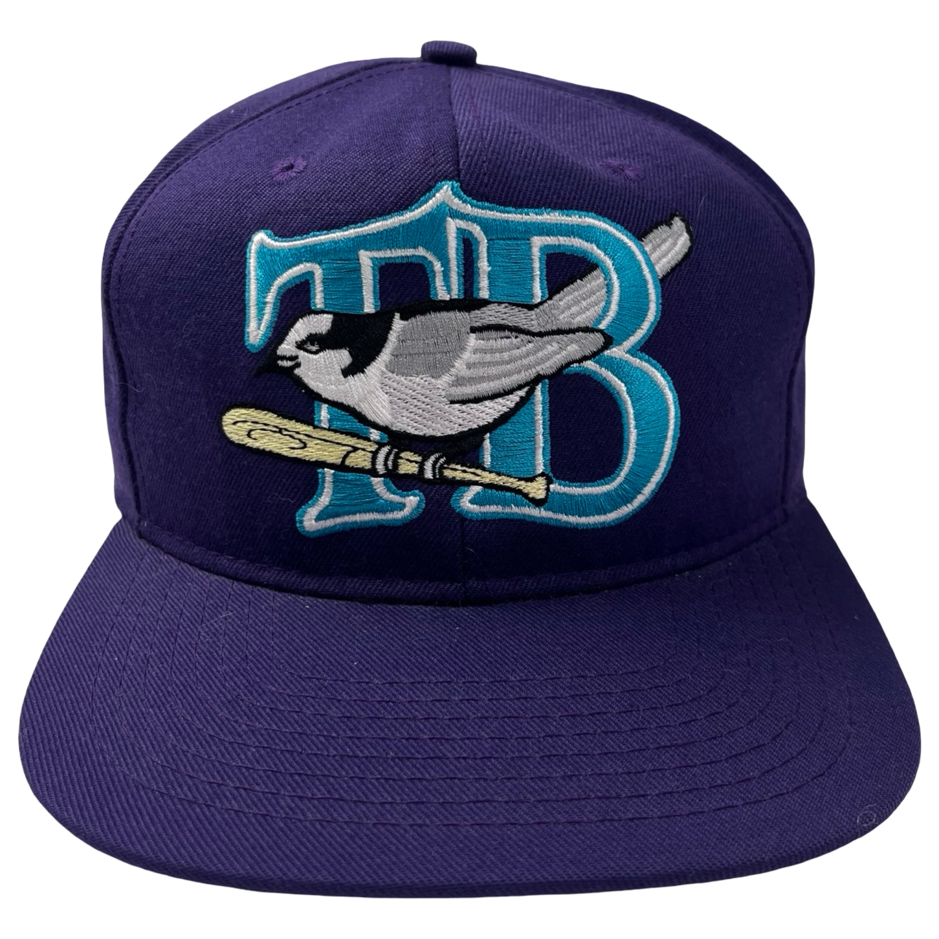 Vintage Thunder Bay Whisky Jacks Minor League Hat