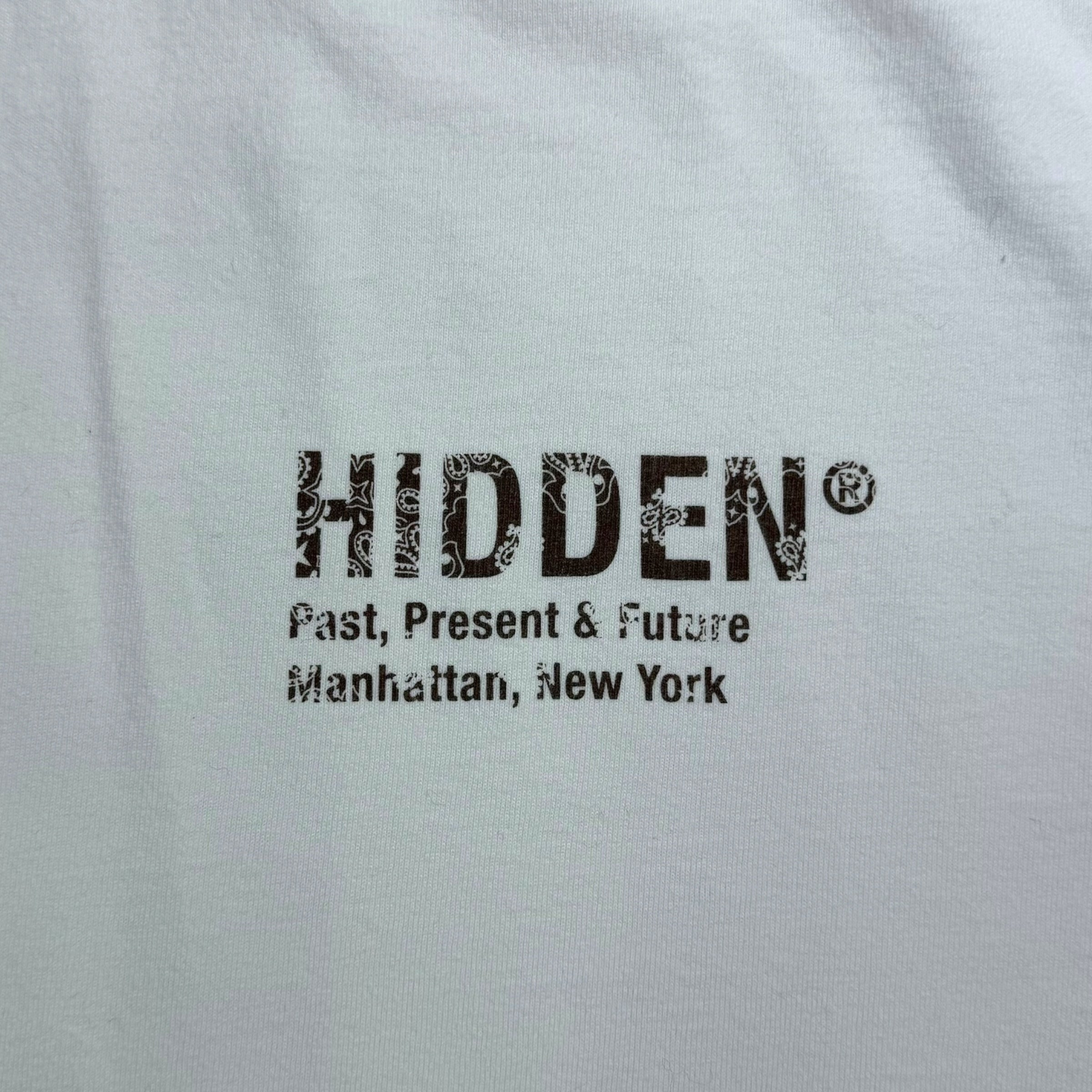 Hidden New York Paisley Brown Tee White