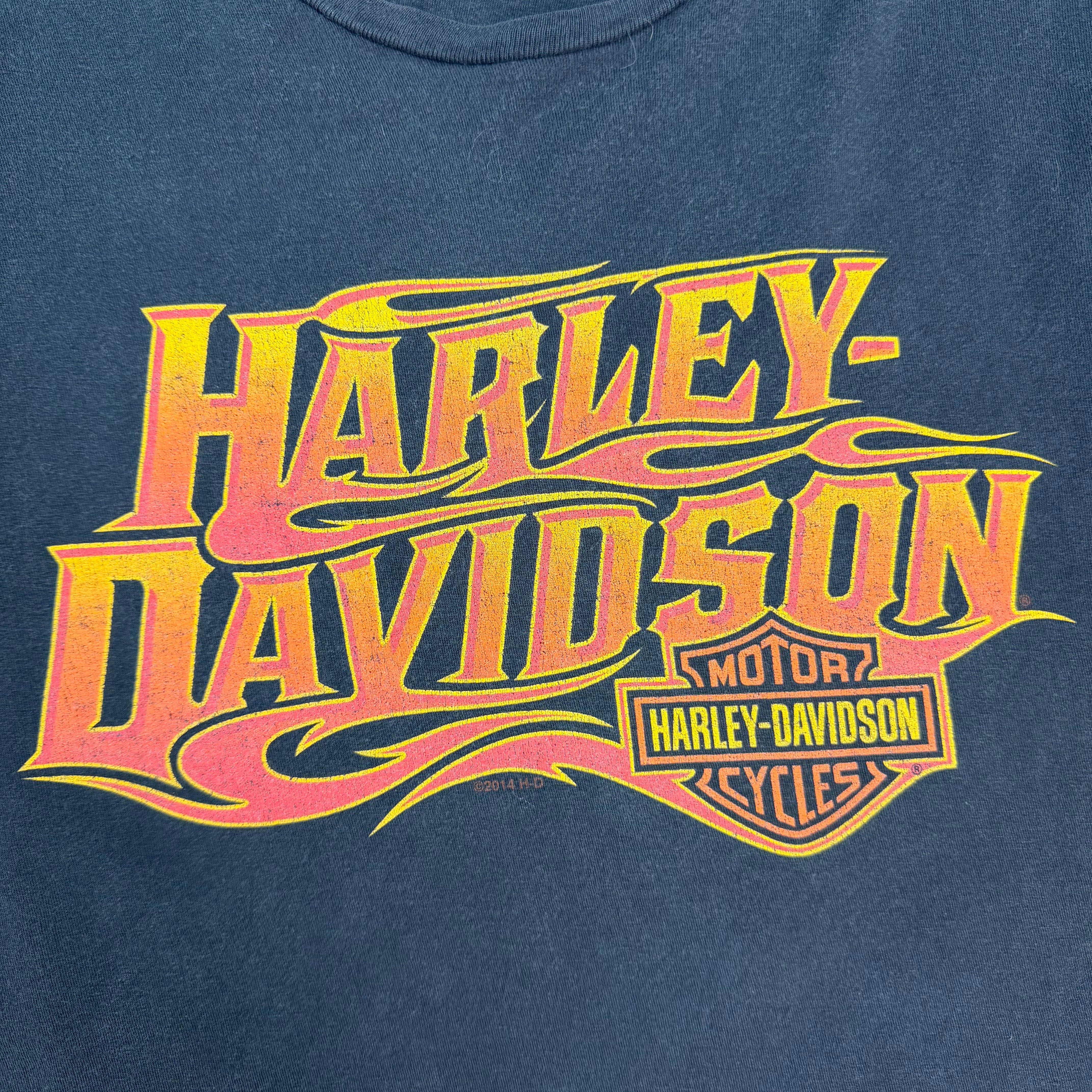 Harley Davidson Flame Logo Tee Black