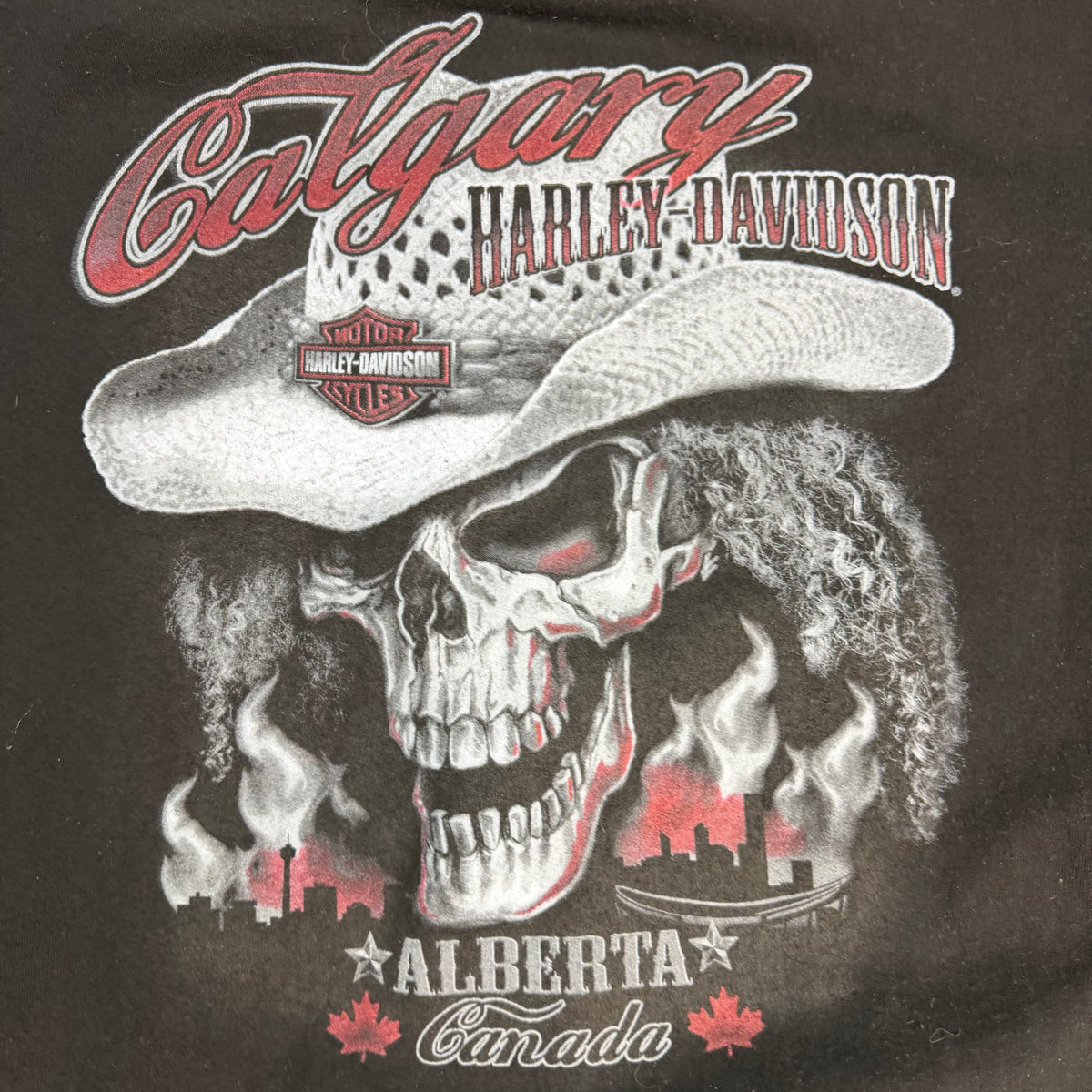Harley Davidson Calgary Flame Skull Zip Up Hoodie Black