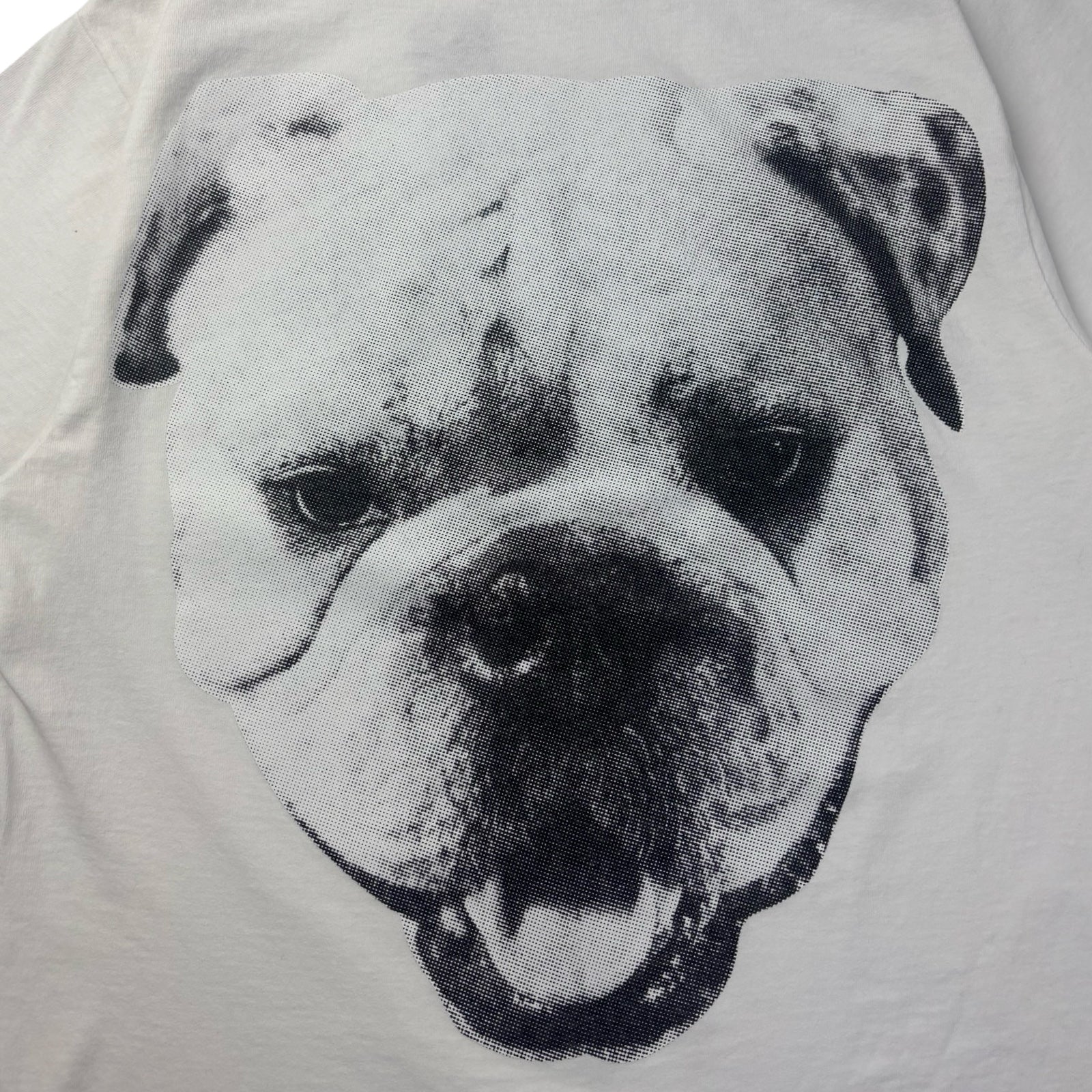 Stussy Big Dog Stone Washed Tee