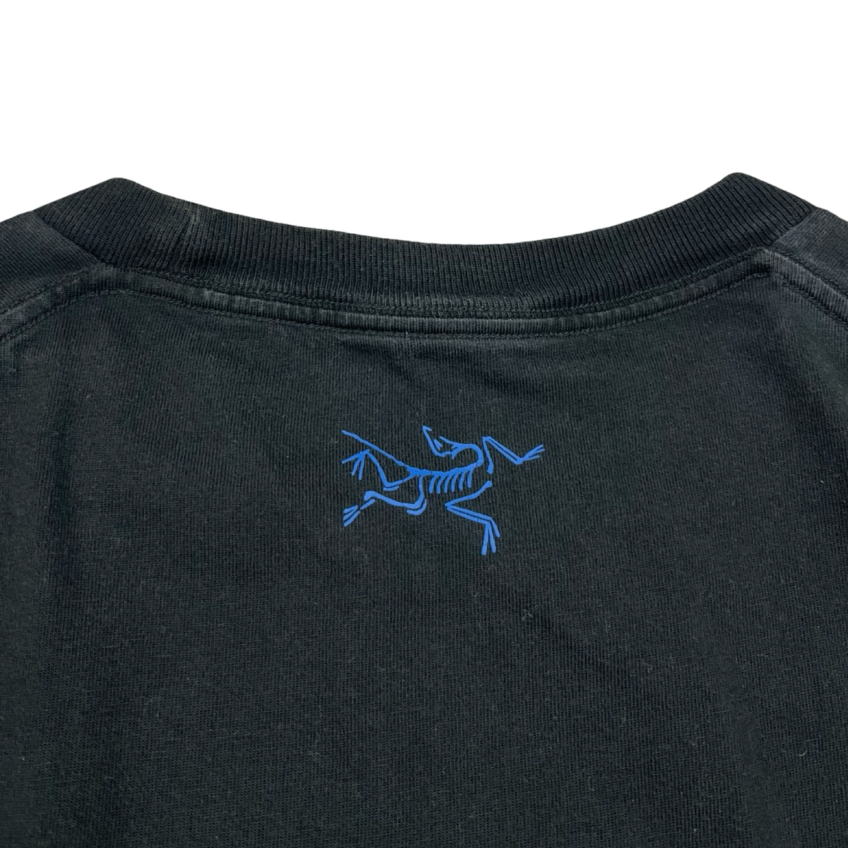 Arc'teryx Kragg Cotton Lithographica T-Shirt