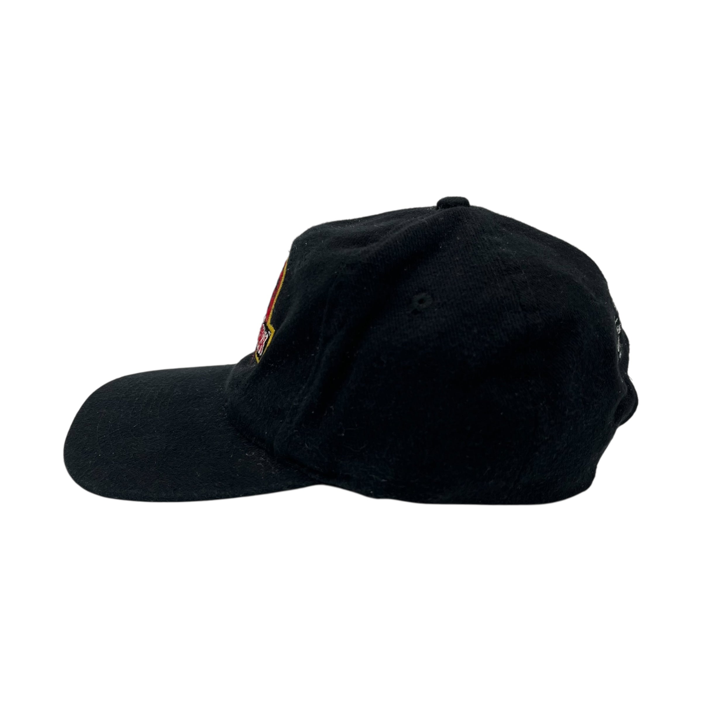 Vintage Jurassic Park The Ride Snapback Hat