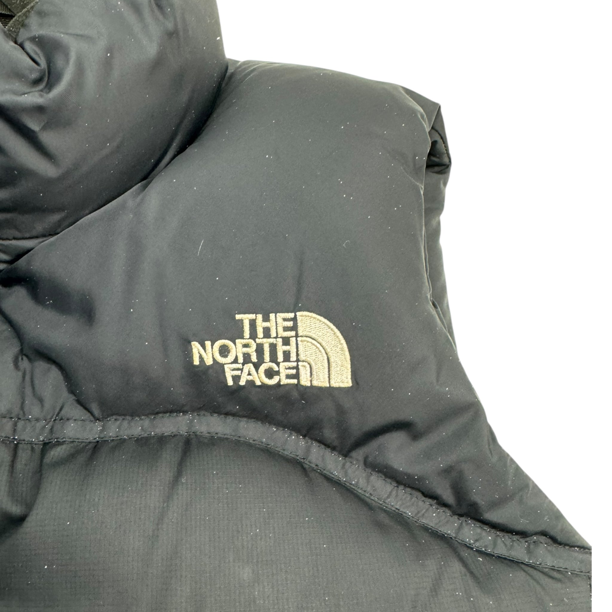 The North Face 700 Puffer Vest Black