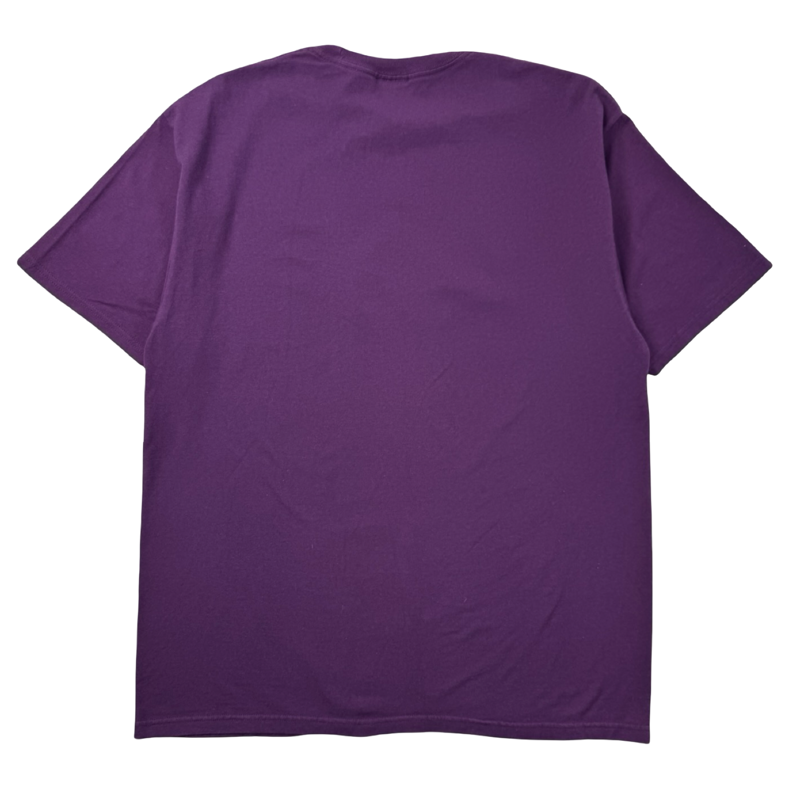 Stussy Plaqued T-Shirt Purple