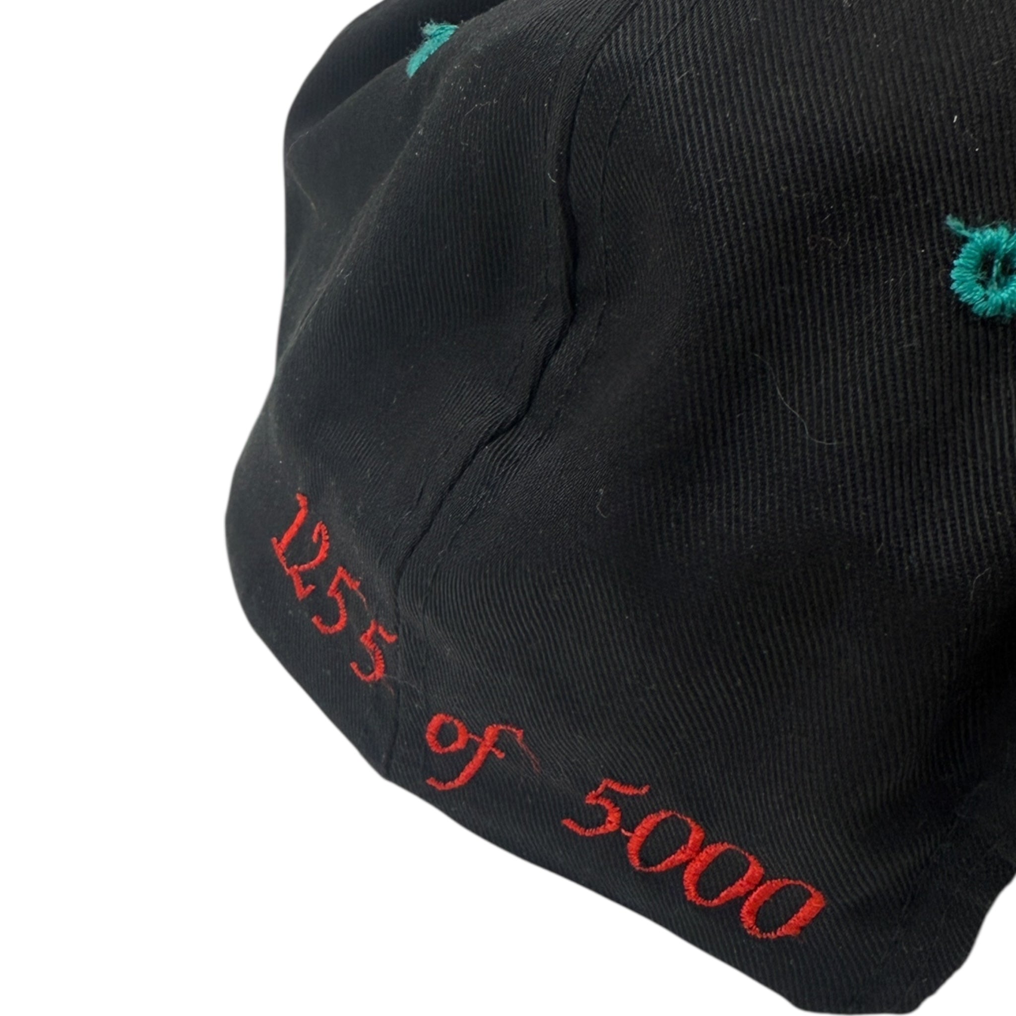 Vintage Vancouver Grizzlies Inaugural Snap Back Hat by The Game