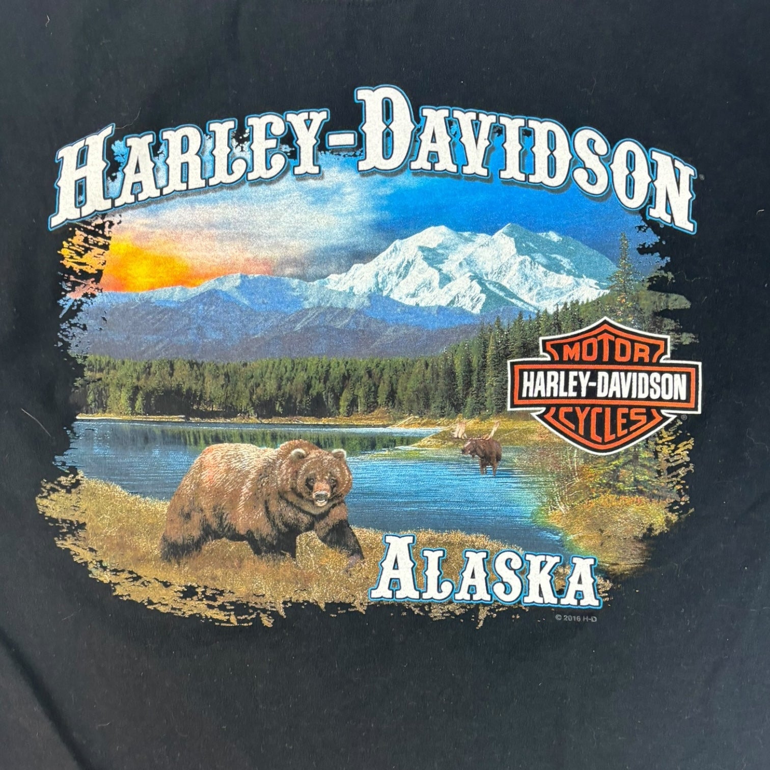 Vintage 2007 Harley Davidson Anchorage Alaska Polar Bear T-Shirt Black