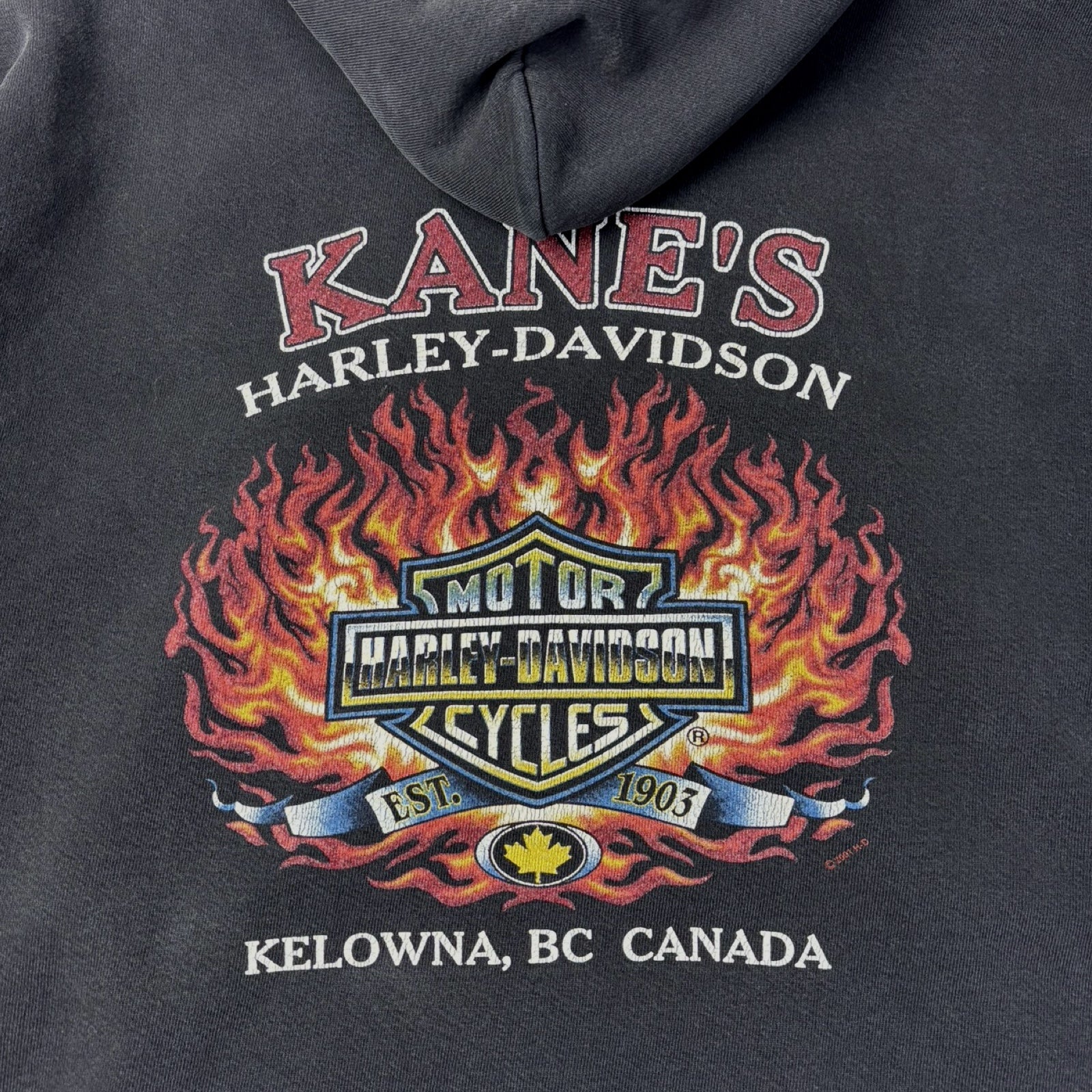 2001 Harley Davidson Kelowna BC Flame Sleeve Zip Up Hoodie