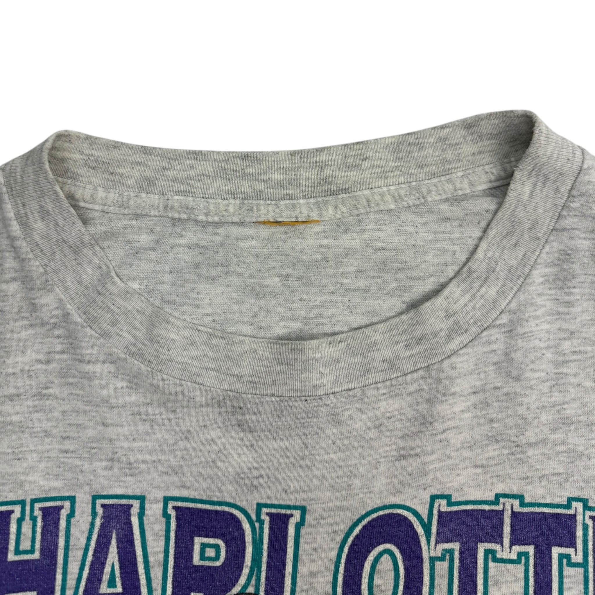 Vintage Charlotte Hornets Break-Thru T-Shirt