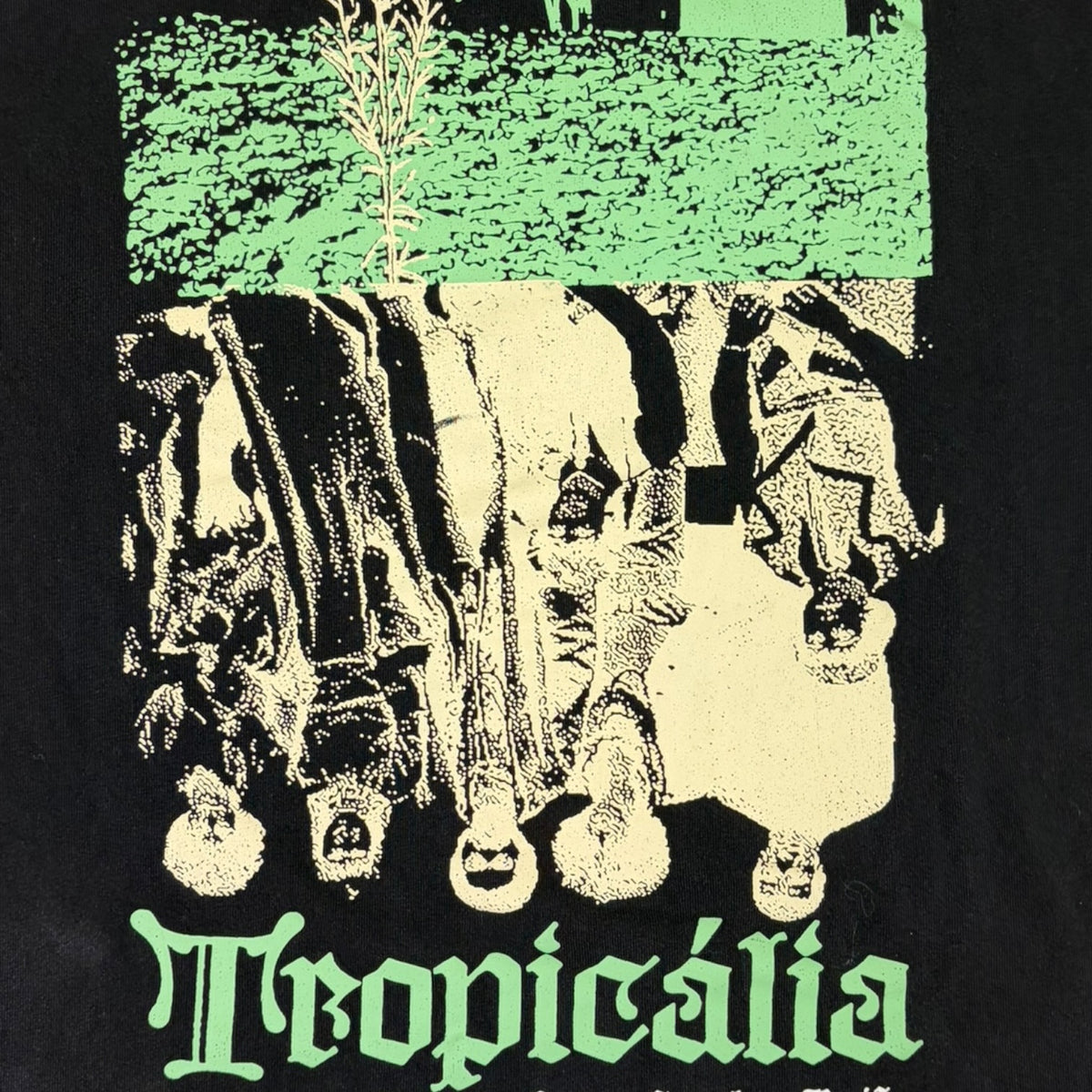 Butter Goods Tropicalia T-Shirt Black