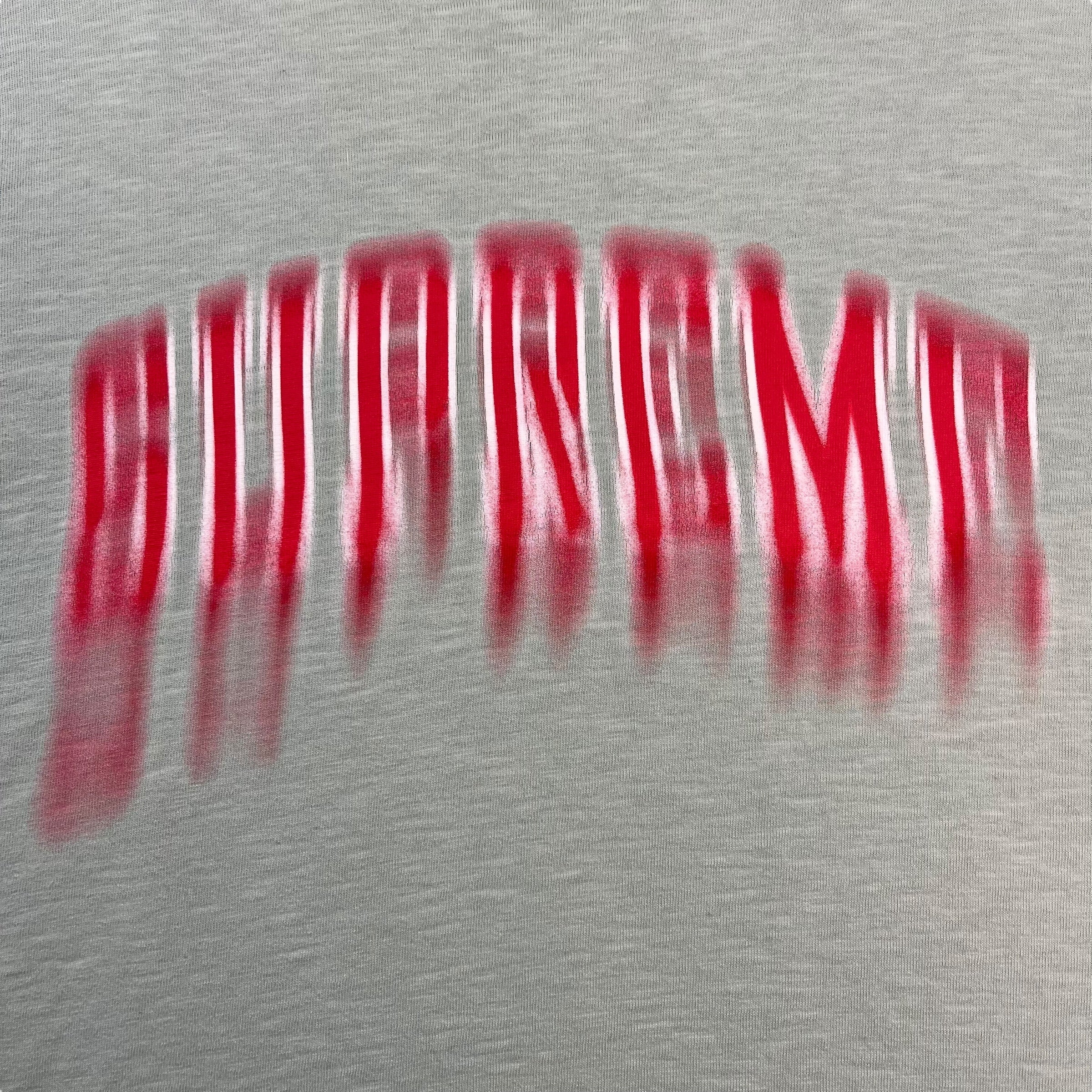 Supreme Blurred Arc Tee Pale Green