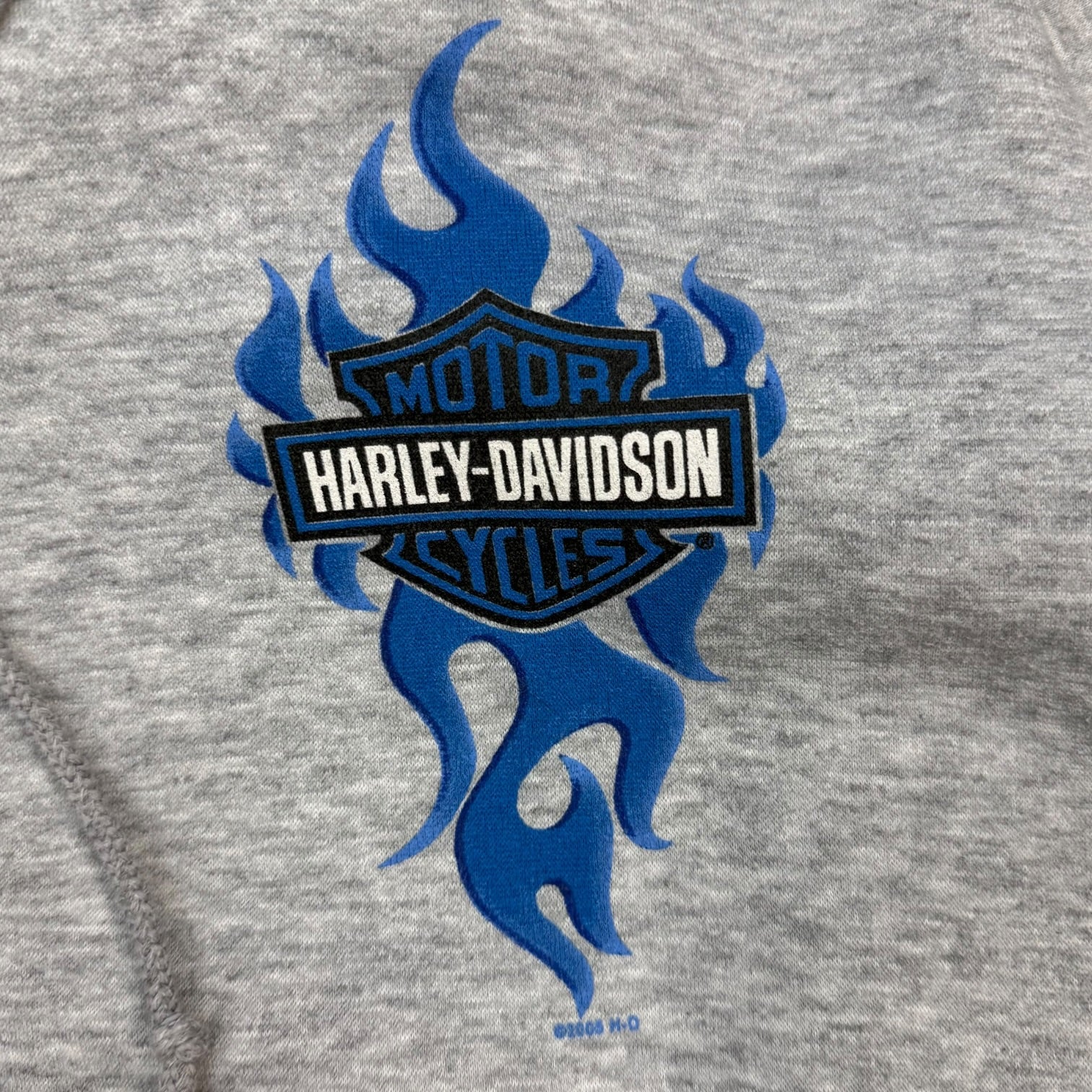 Vintage Harley Davidson Of Prince George Flame Hoodie Grey