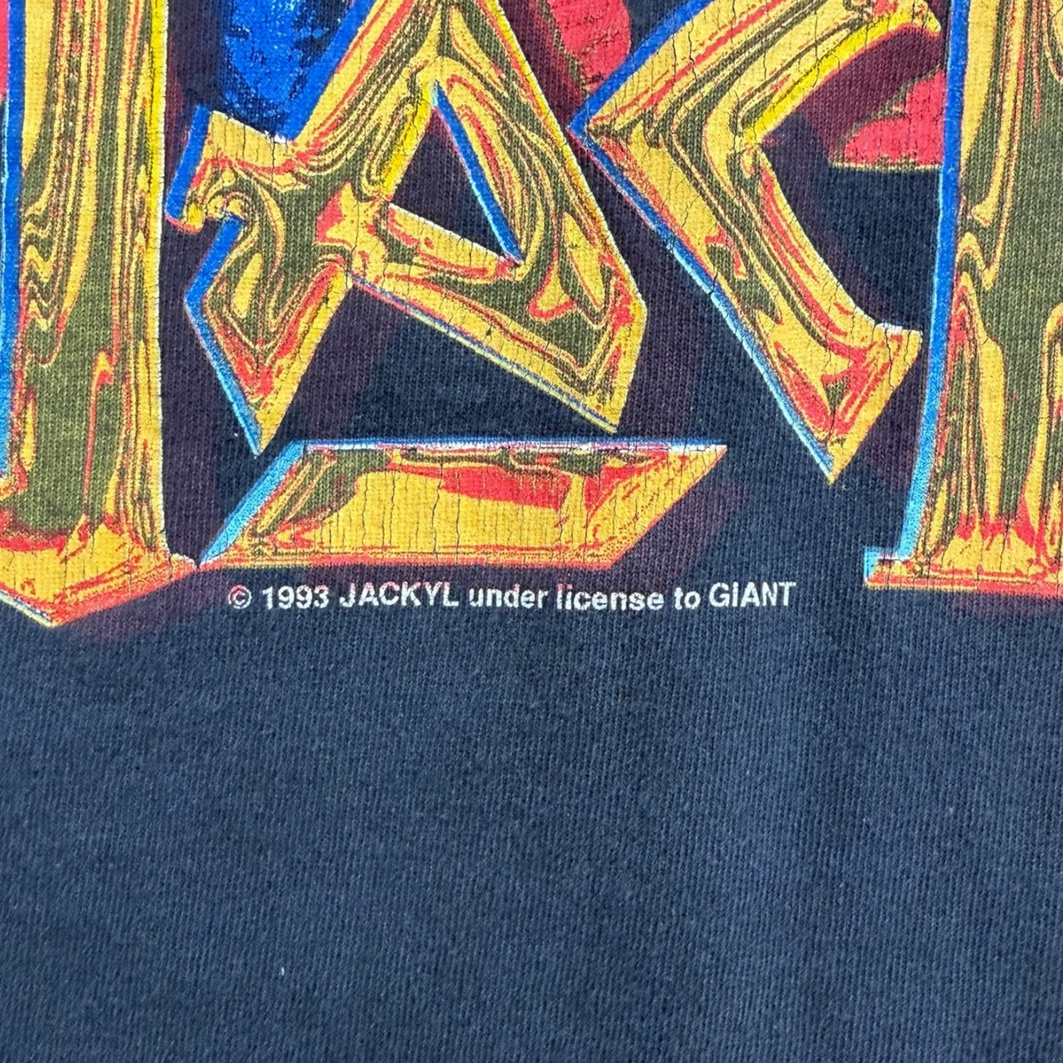Vintage 1993 Jackyll “Rock Me Roll Me” Tour T-Shirt Black