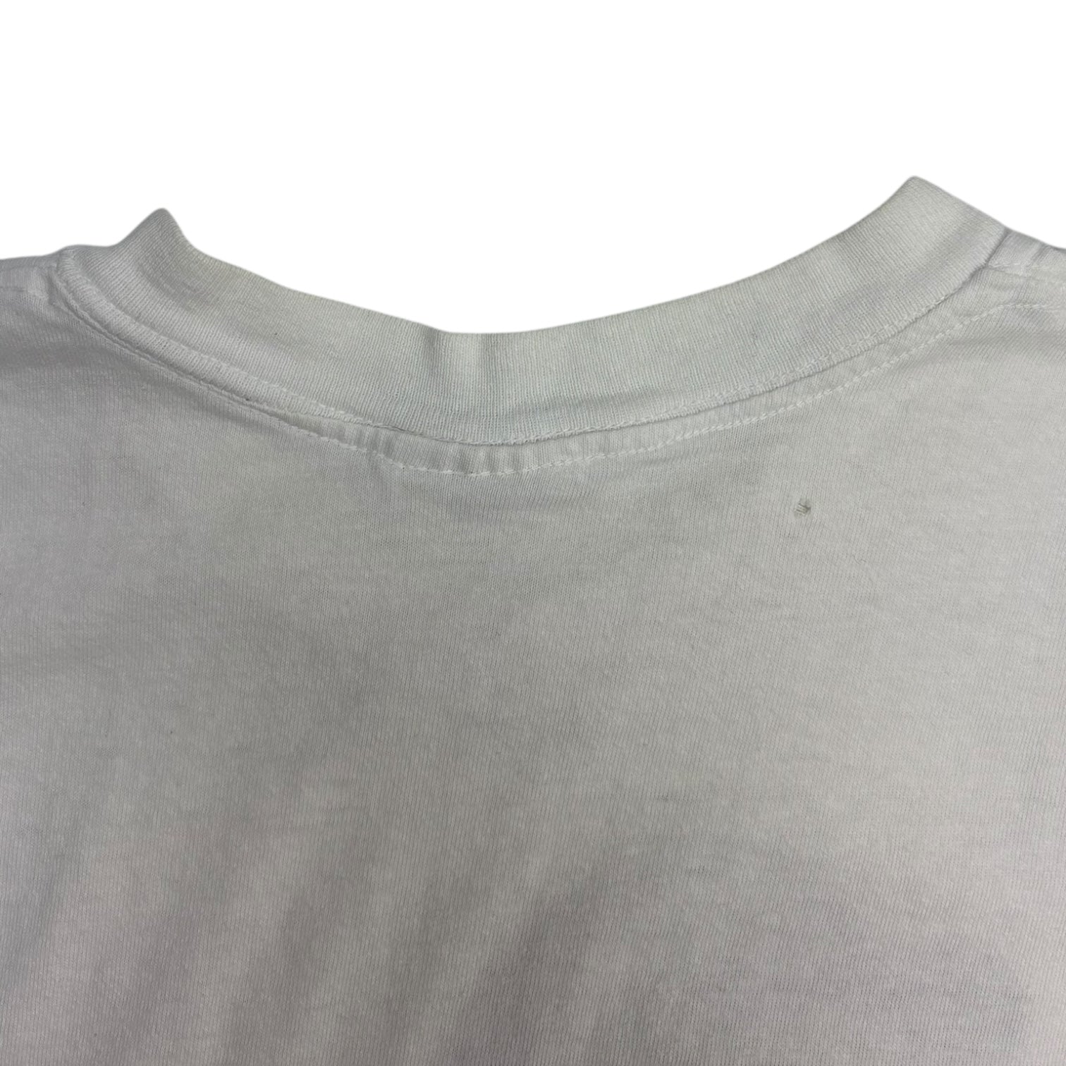 Vintage Salem Sportswear Chicago Cubs Ryne Sandberg Big Head T-Shirt