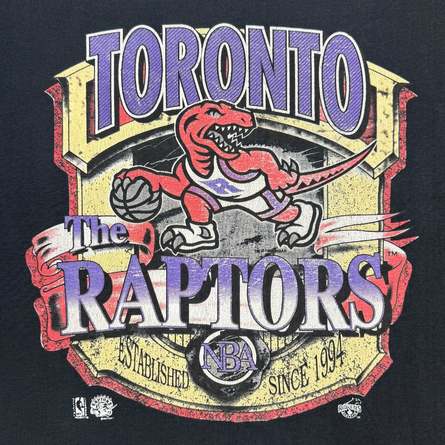 Vintage Toronto Raptors Tee Black