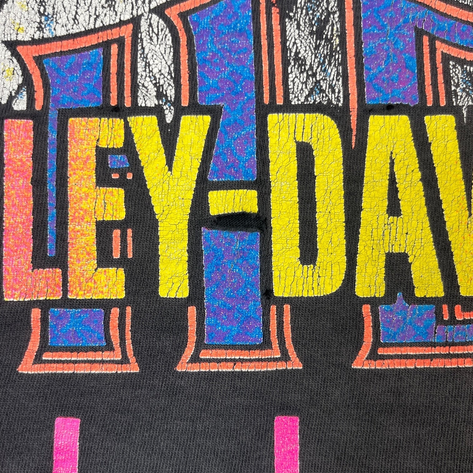 Vintage Harley Davidson Rules Eagle T-Shirt Black