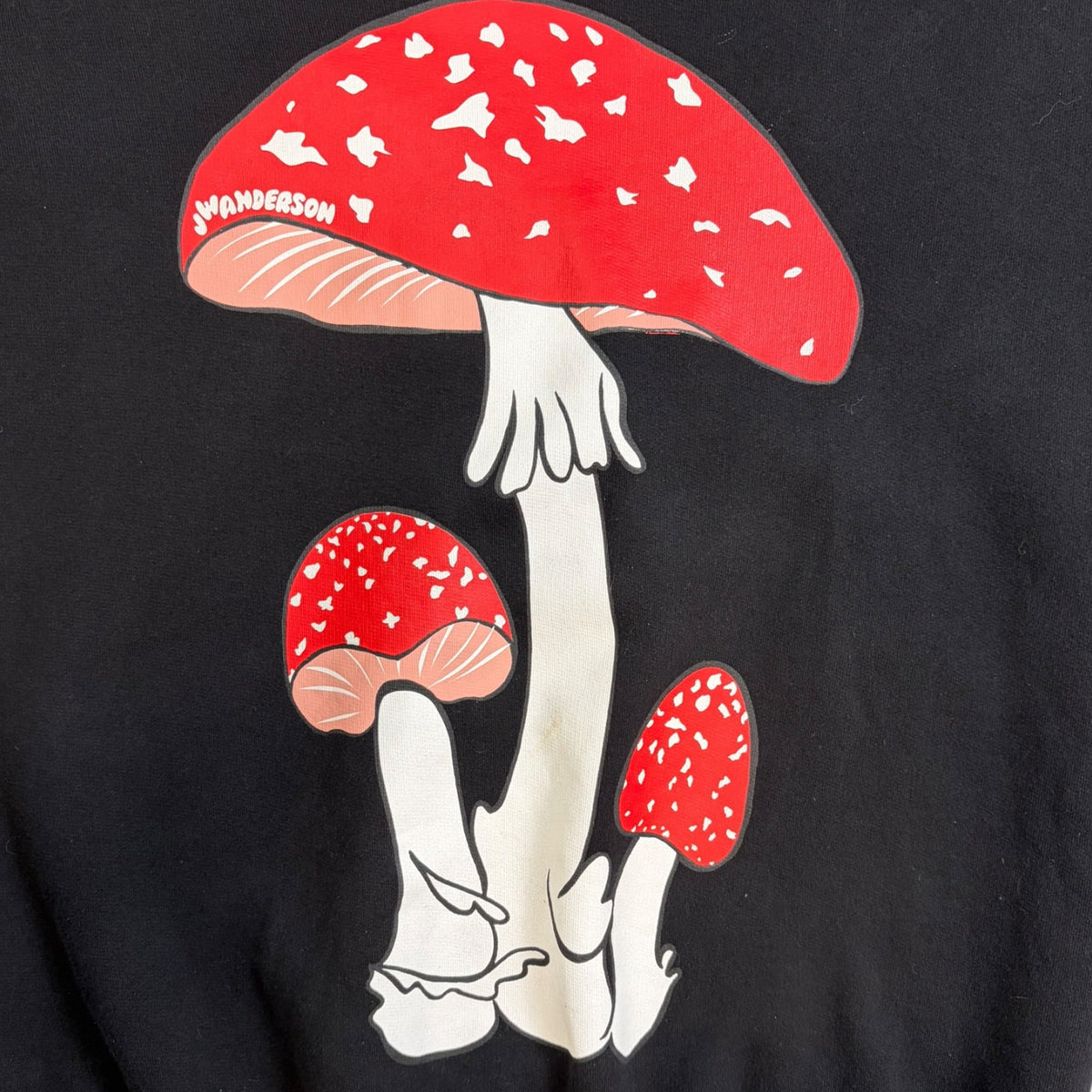 JW Anderson Mushroom Graphic Hoodie Black