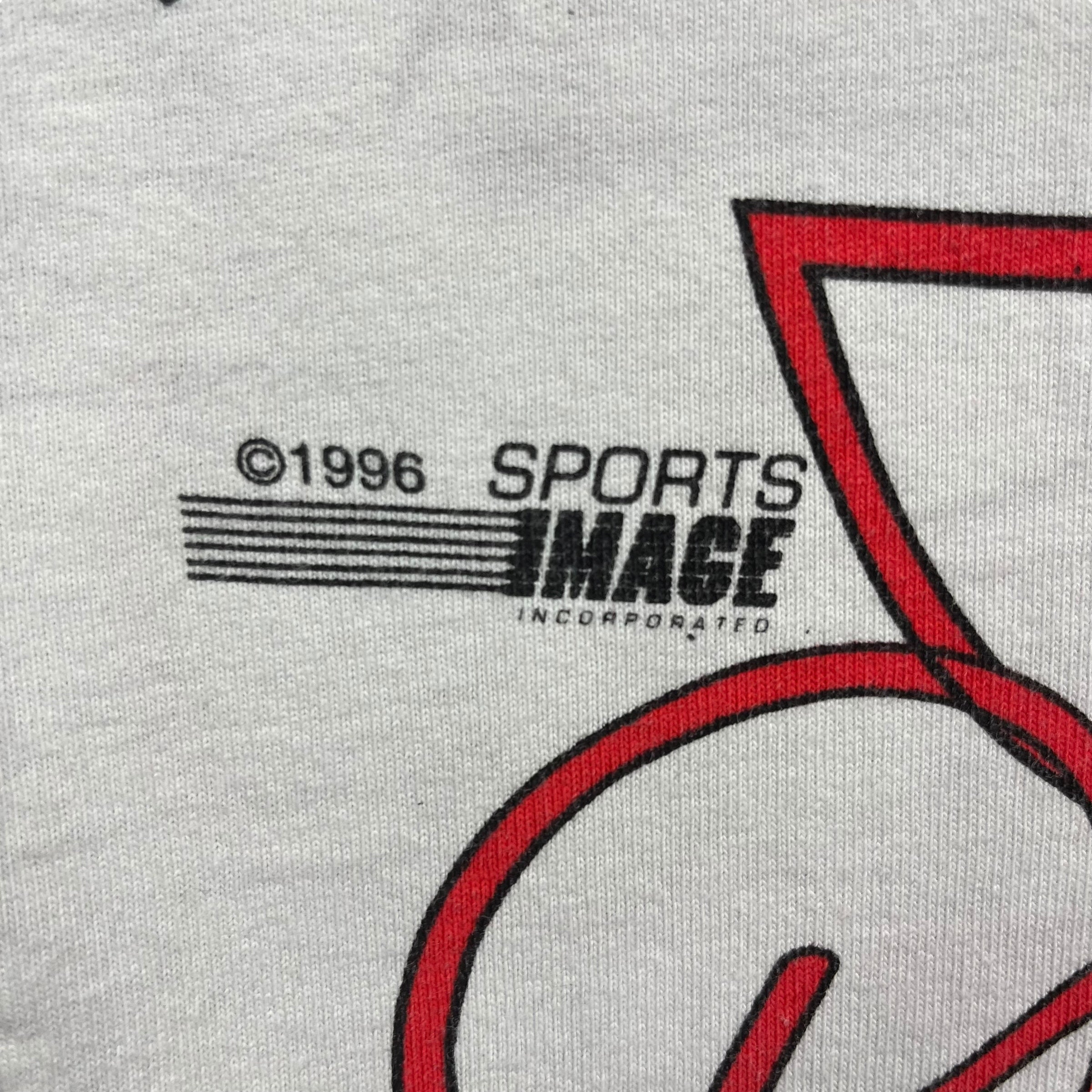 1996 Dale Earnhardt Jr. Driven To Win Tee Grey
