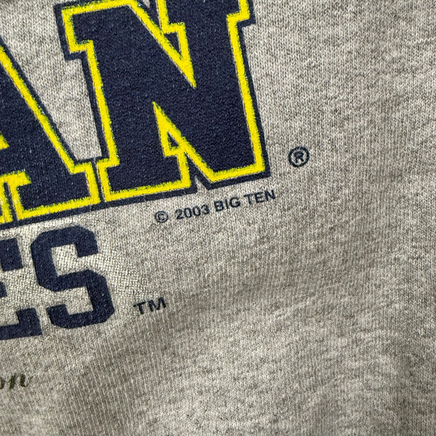 2003 Michigan Wolverines Big Ten Championship Crewneck Grey