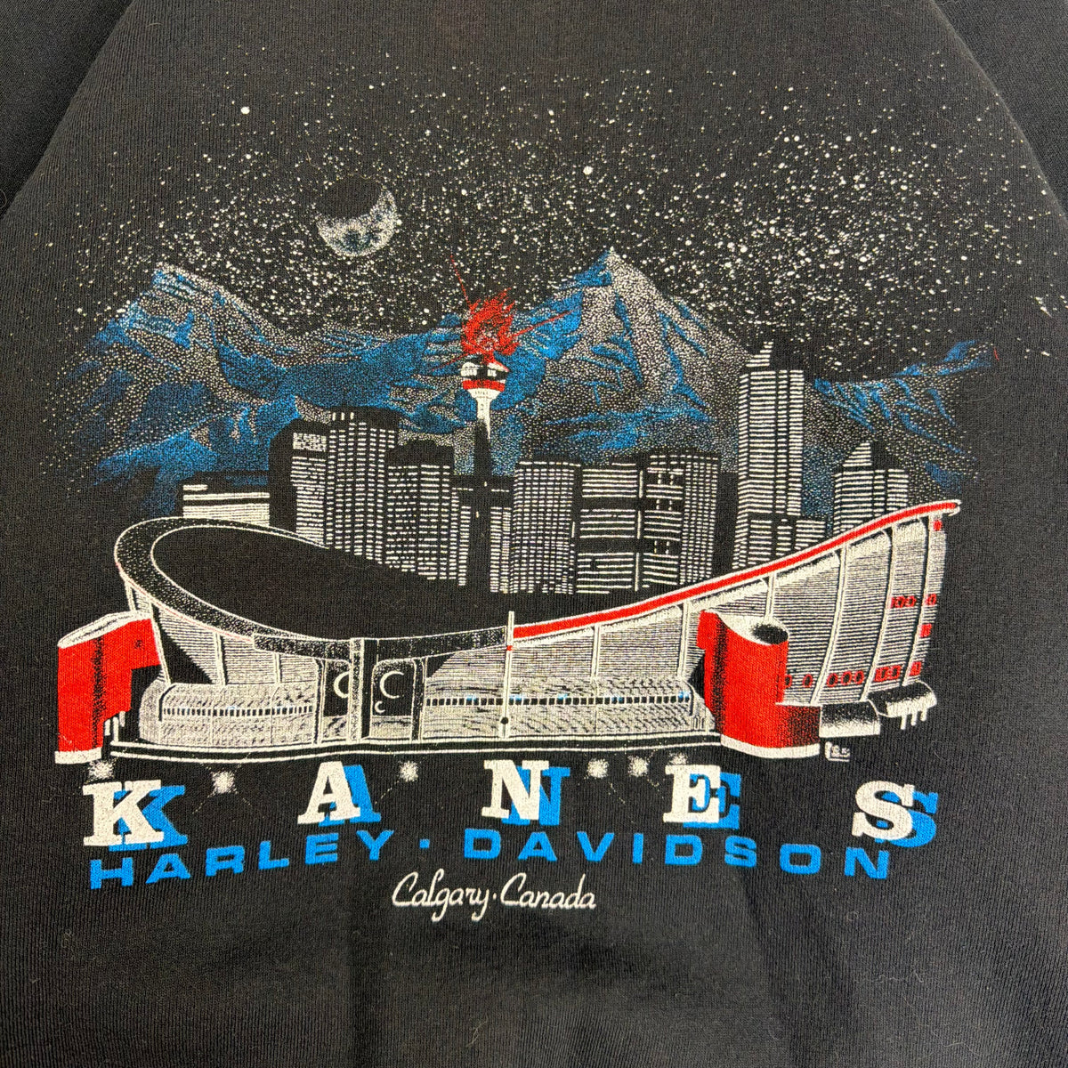 Vintage Harley Davidson Eagle Calgary Crewneck Black