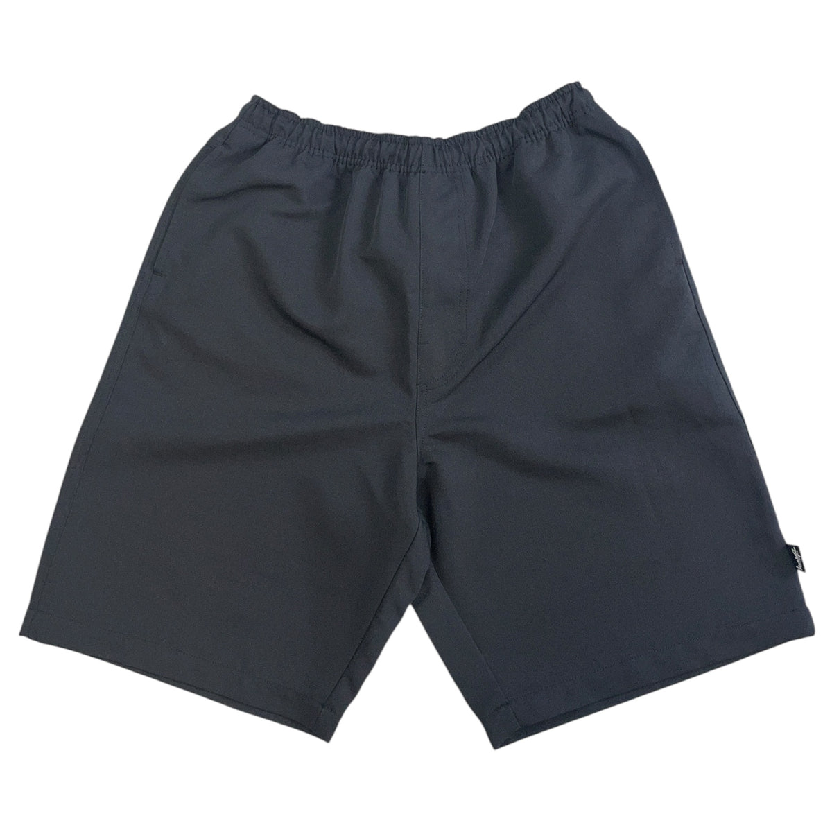 Stussy Baggy Beach Shorts