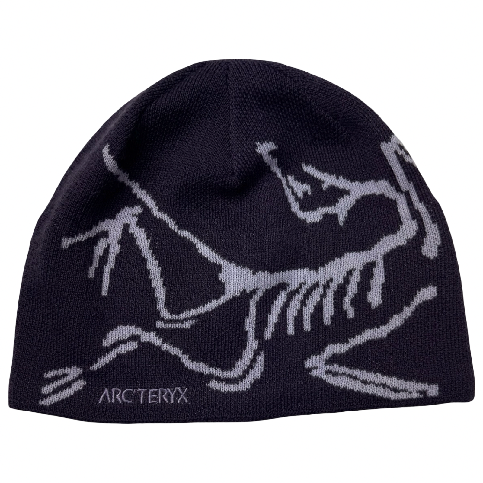Arc’teryx Bird Head Toque Purple
