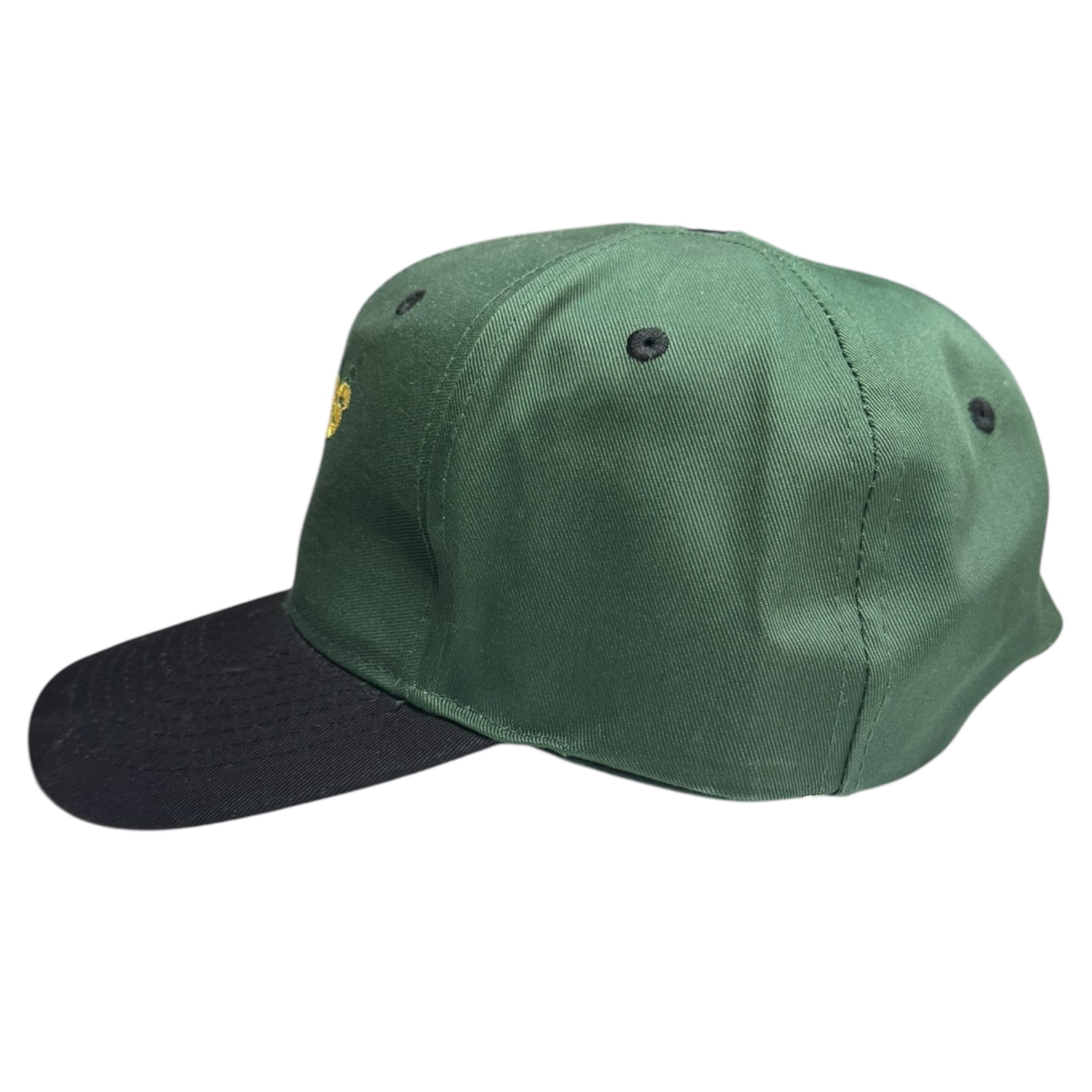Vintage Dallas Stars Logo Athletic Snap Back Hat