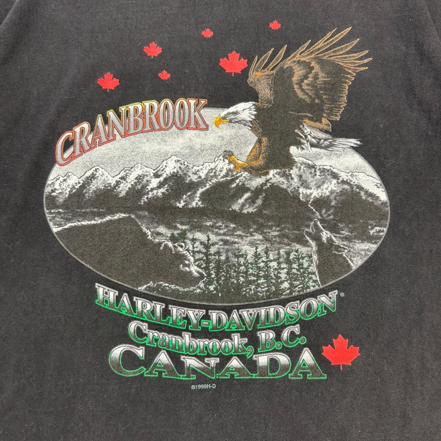 Vintage Harley Davidson Of Cranbrook Tee Black