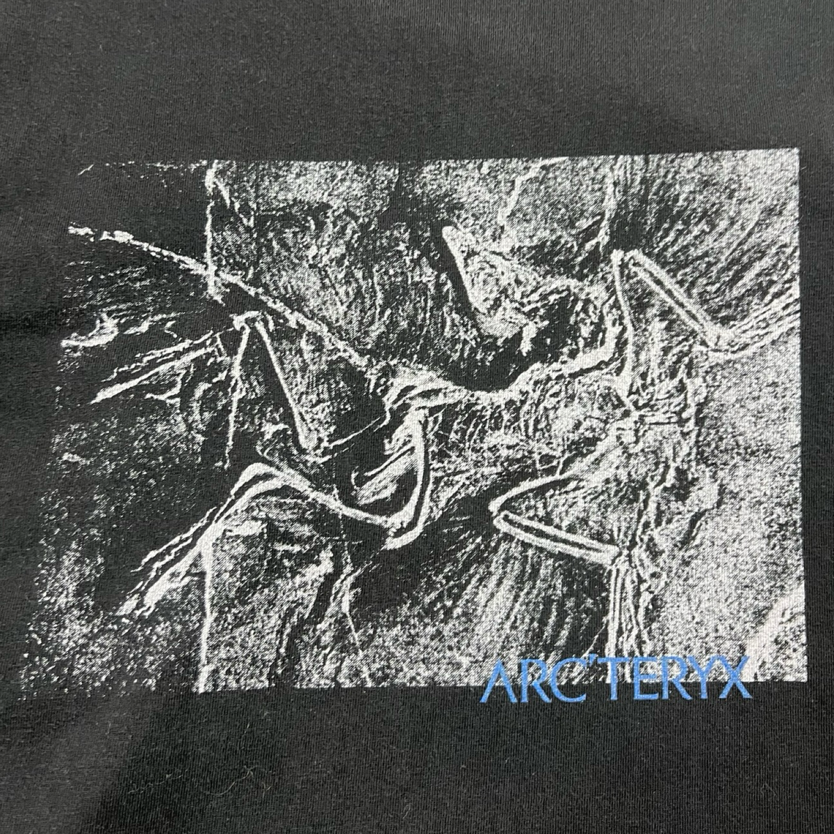 Arc'teryx Kragg Cotton Lithographica T-Shirt