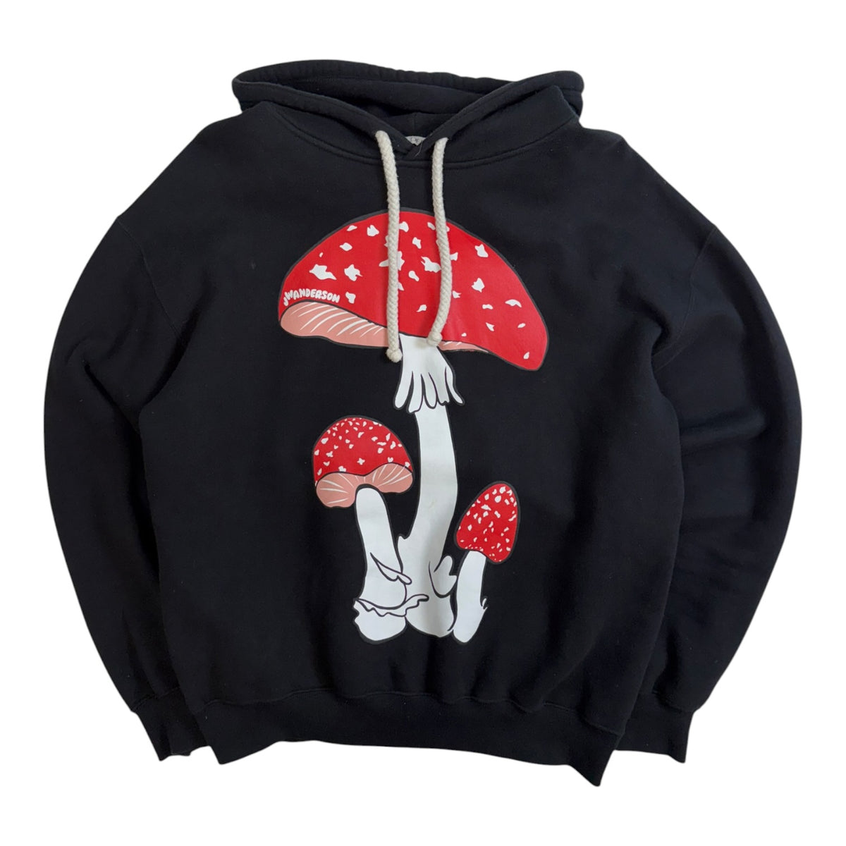 JW Anderson Mushroom Graphic Hoodie Black