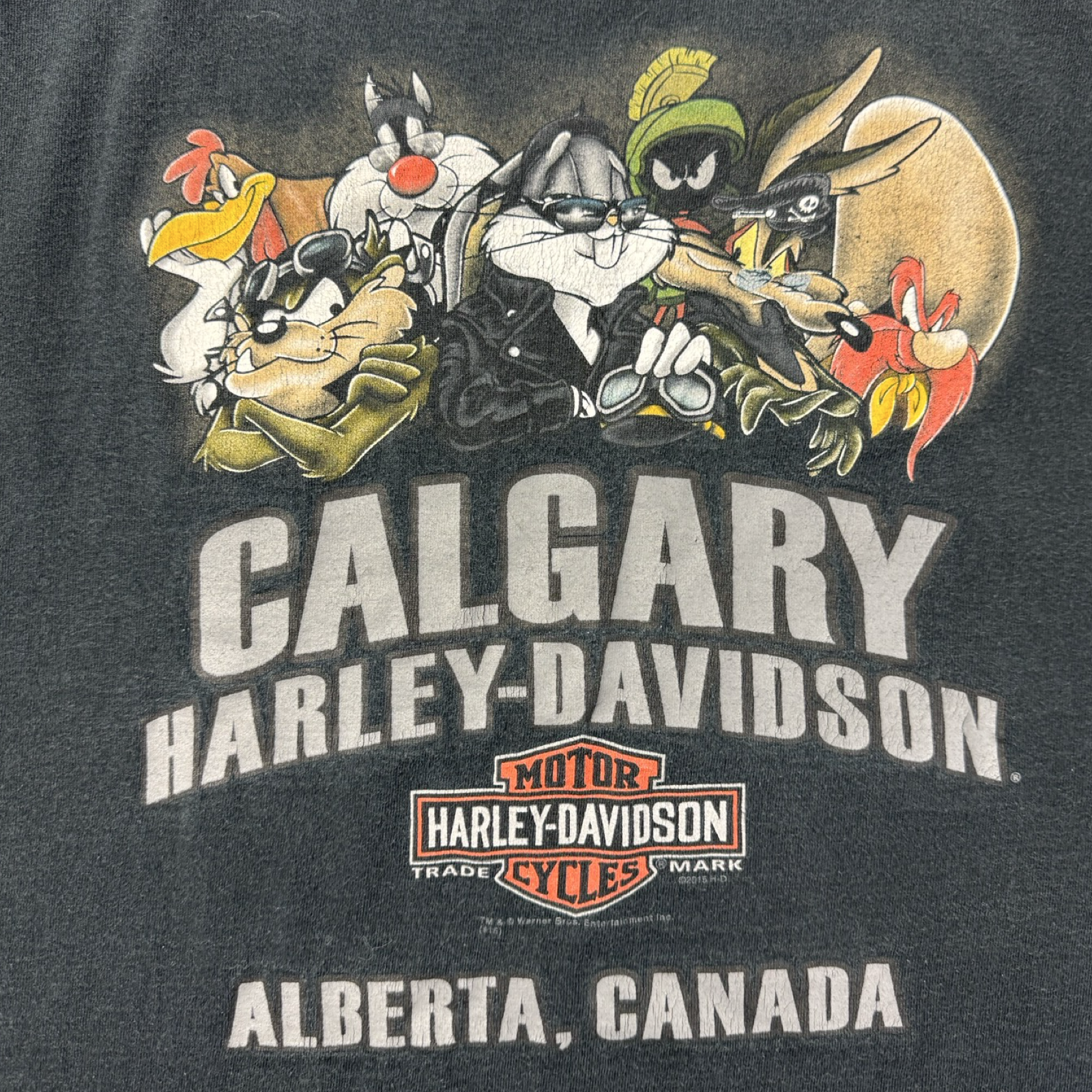 Harley Davidson Looney Tunes Calgary Alberta T-Shirt